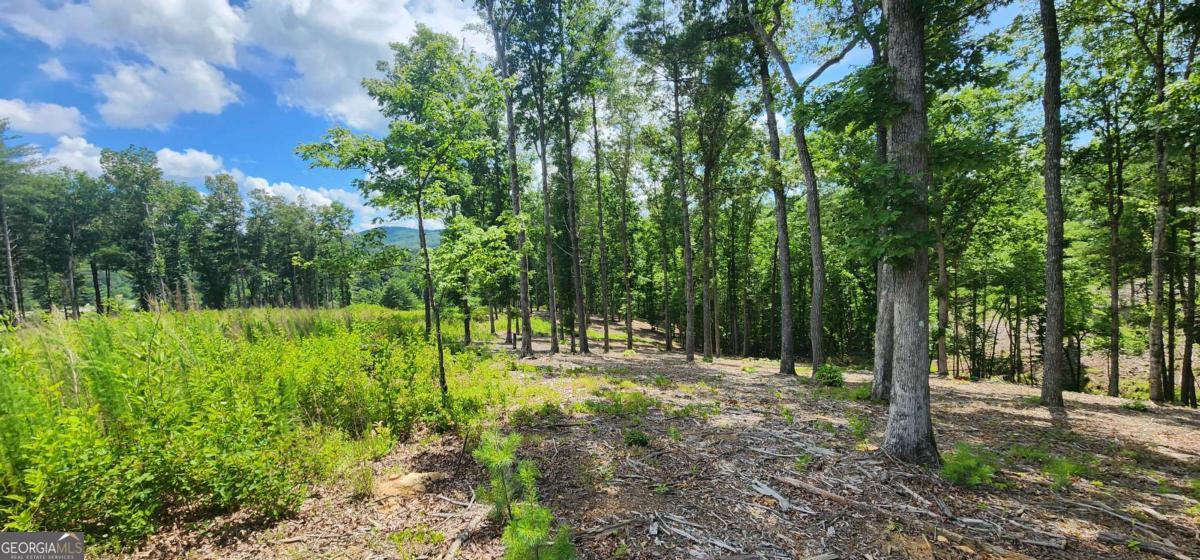 Lt 106 Split Creek Road Morganton GA 30560