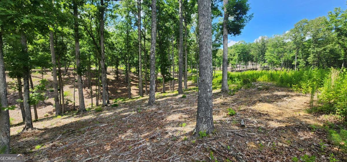 Lt 106 Split Creek Road Morganton GA 30560