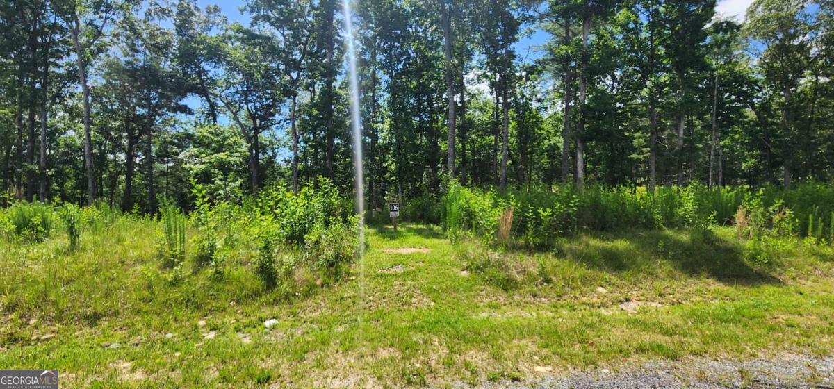 Lt 106 Split Creek Road Morganton GA 30560
