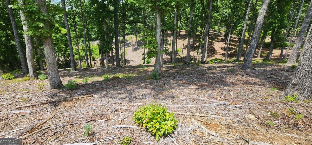 Lt 106 Split Creek Road Morganton GA 30560