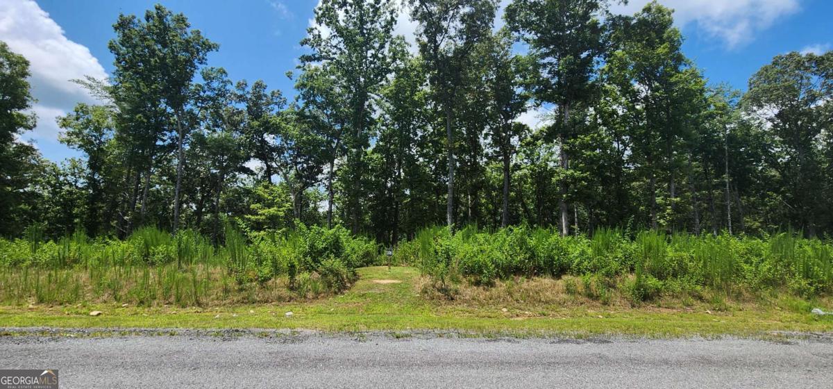Lt 106 Split Creek Road Morganton GA 30560