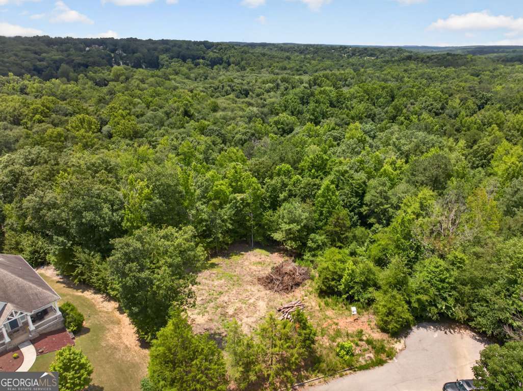 4024 Paulette Drive Monroe GA 30656