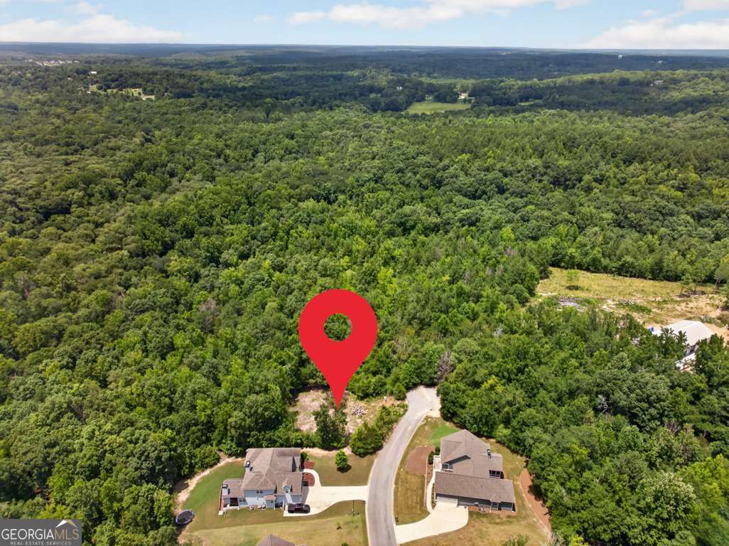 4024 Paulette Drive Monroe GA 30656