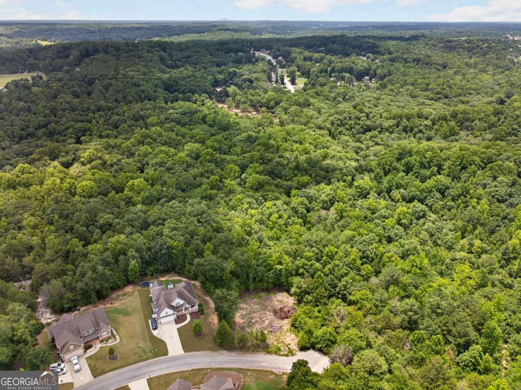 4024 Paulette Drive Monroe GA 30656