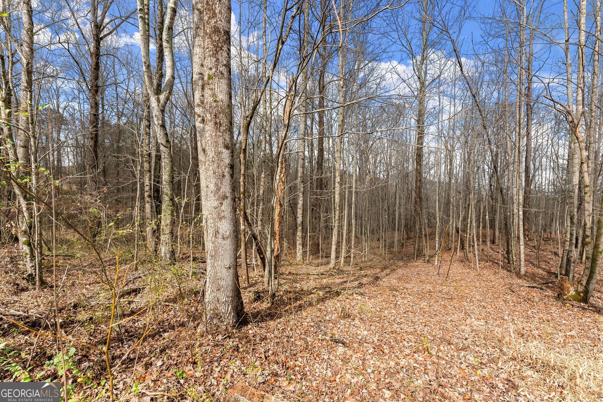 0 Highway 255 Cleveland GA 30528