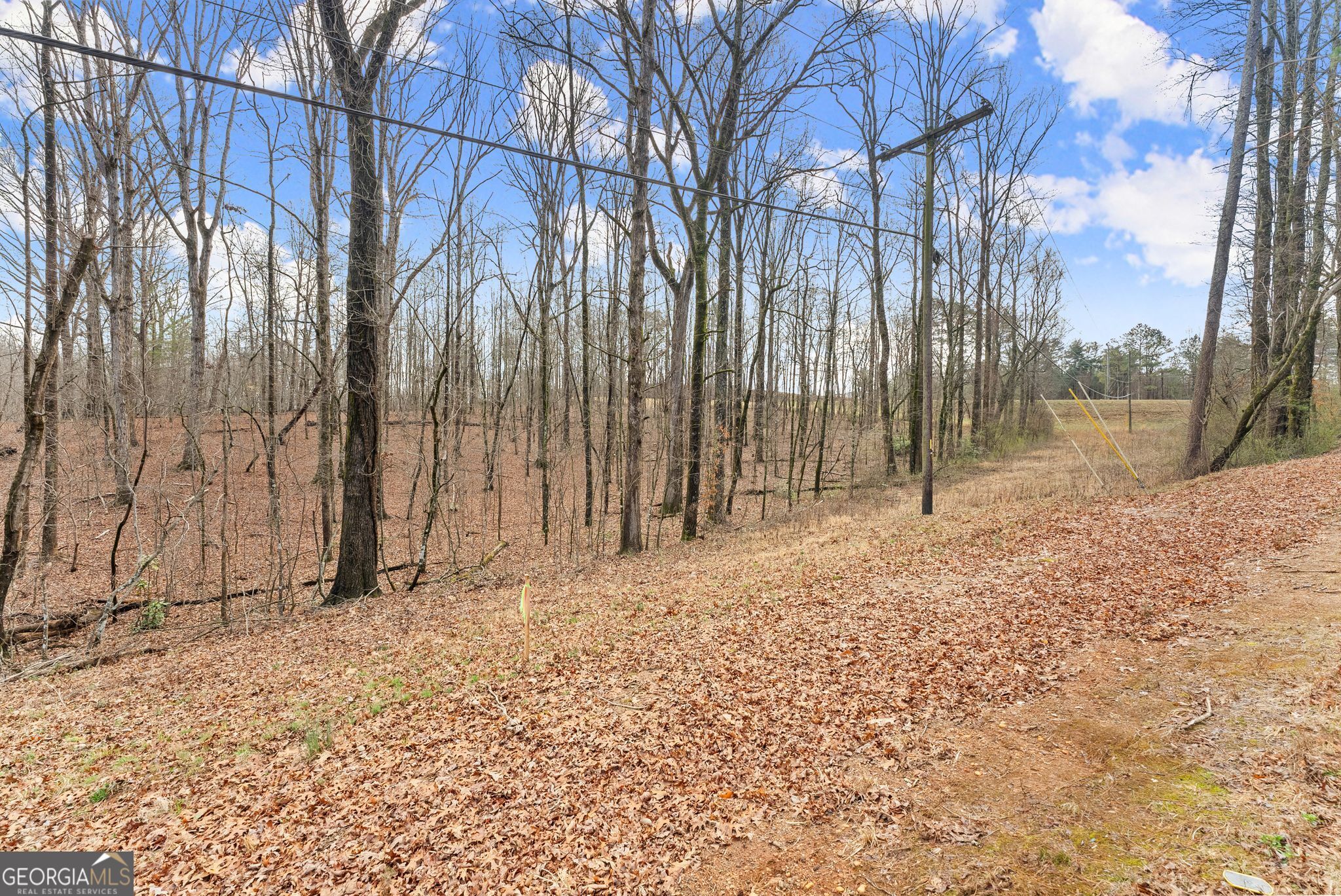 0 Highway 255 Cleveland GA 30528