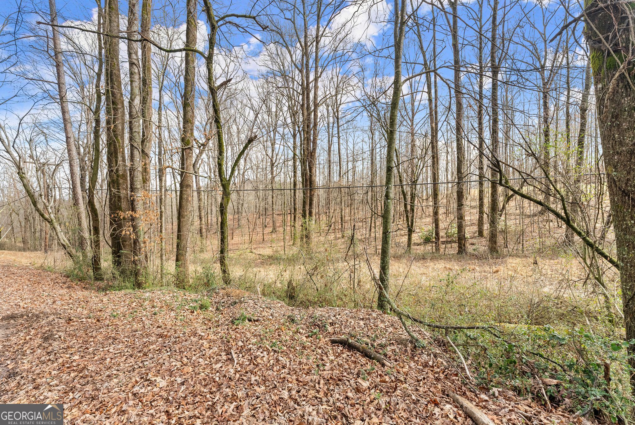 0 Highway 255 Cleveland GA 30528
