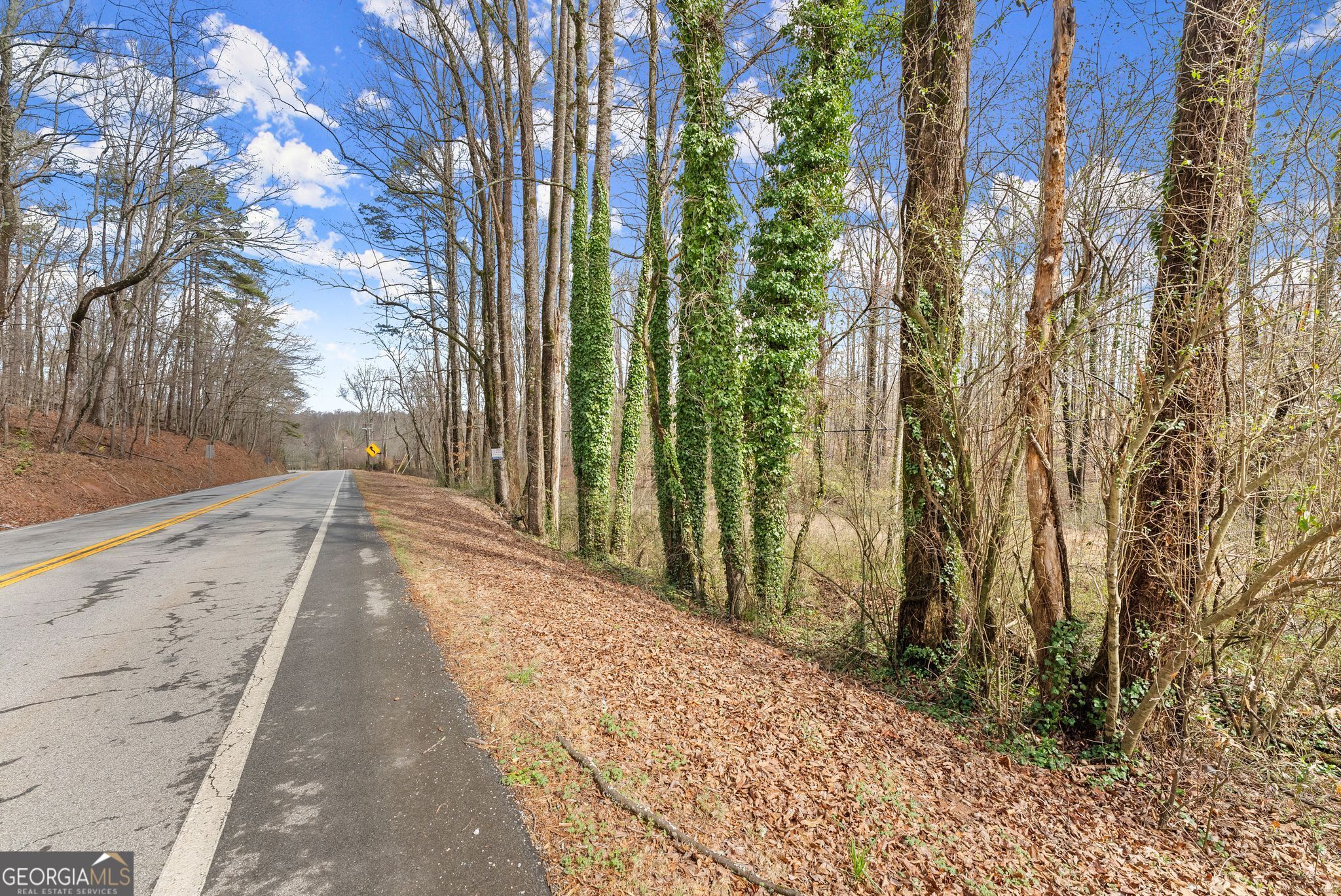 0 Highway 255 Cleveland GA 30528