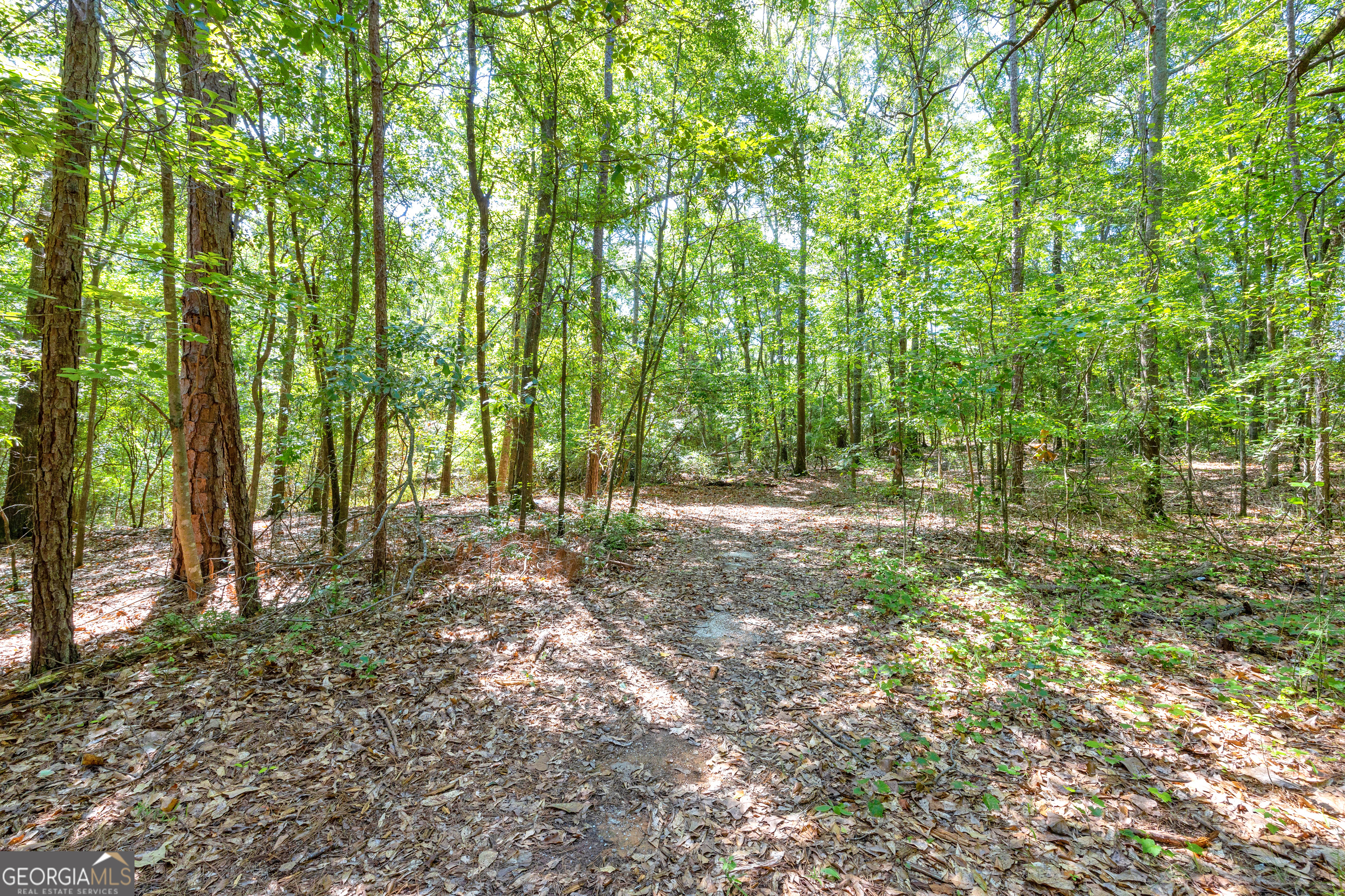 0 Winding Way Hartwell GA 30643