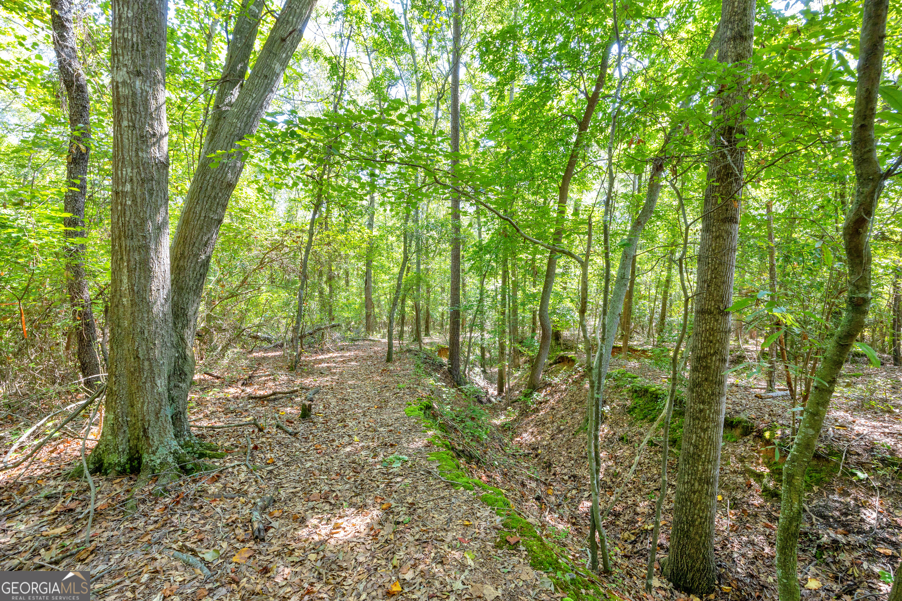 0 Winding Way Hartwell GA 30643