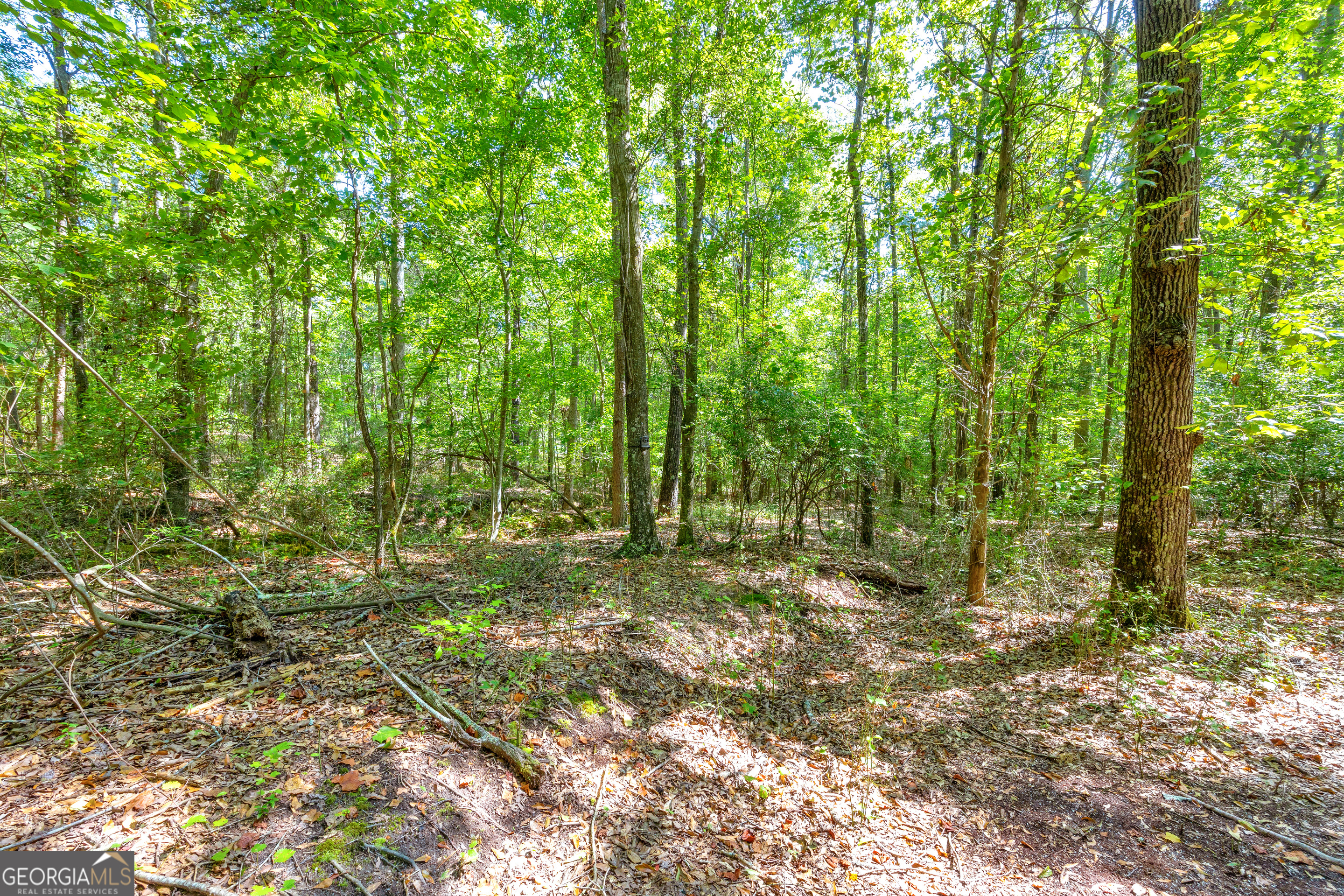 0 Winding Way Hartwell GA 30643