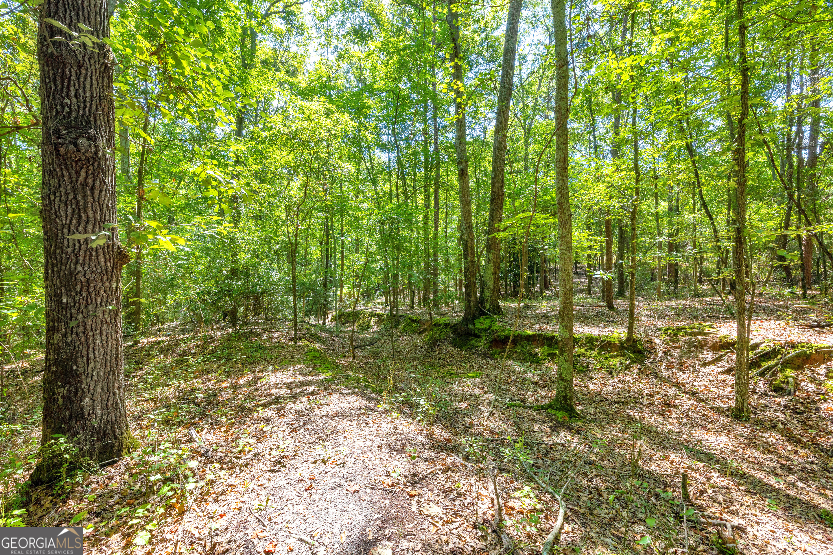 0 Winding Way Hartwell GA 30643