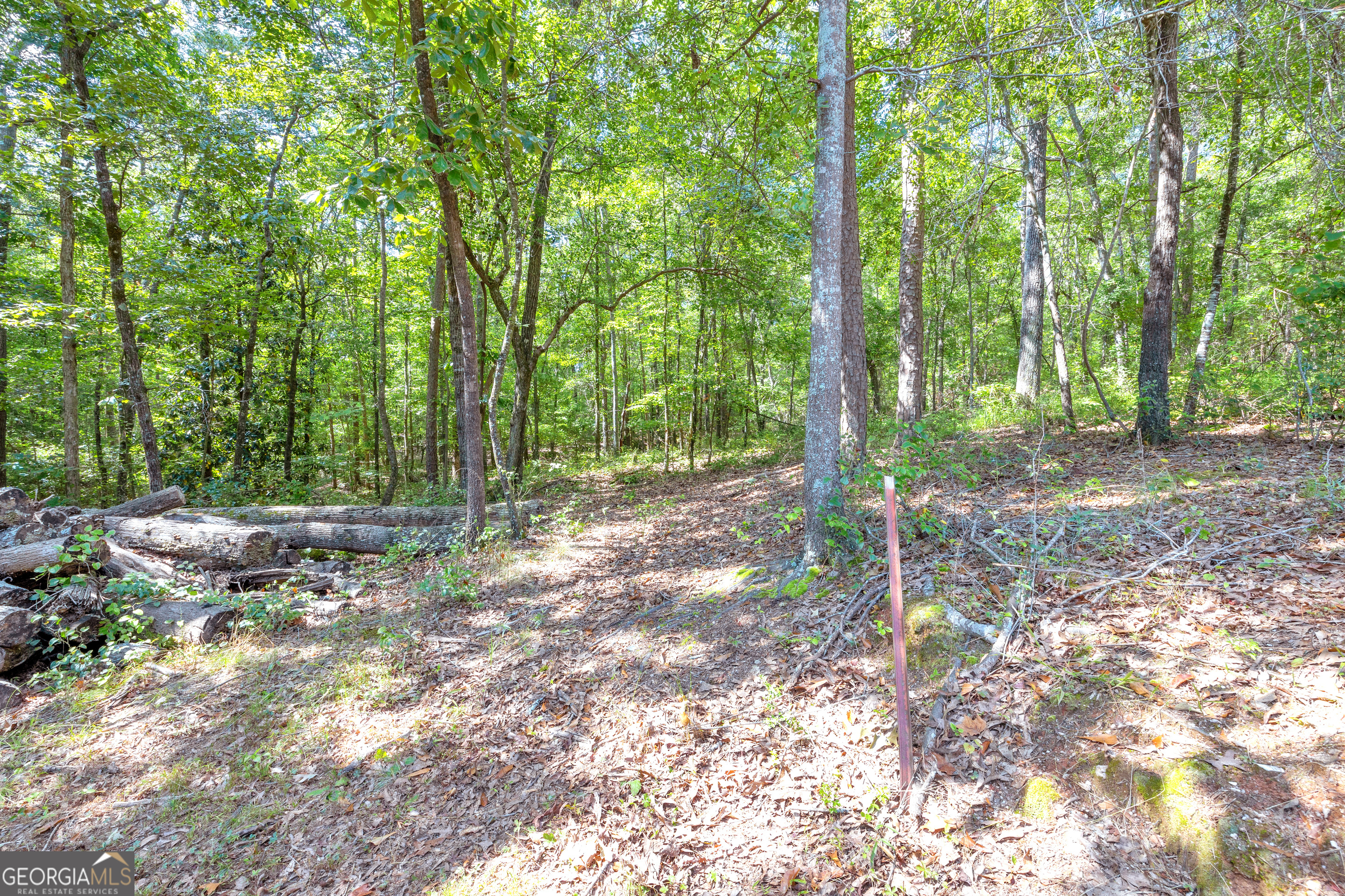 0 Winding Way Hartwell GA 30643