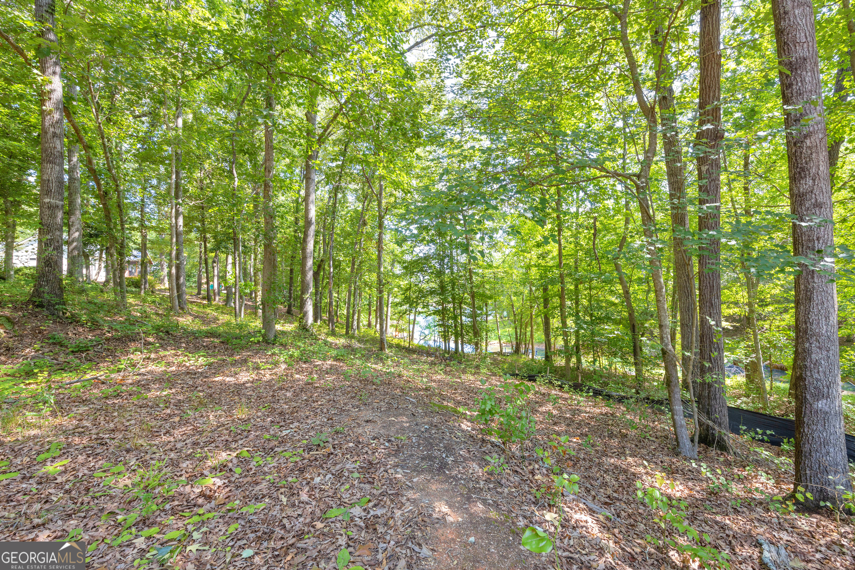 0 Winding Way Hartwell GA 30643