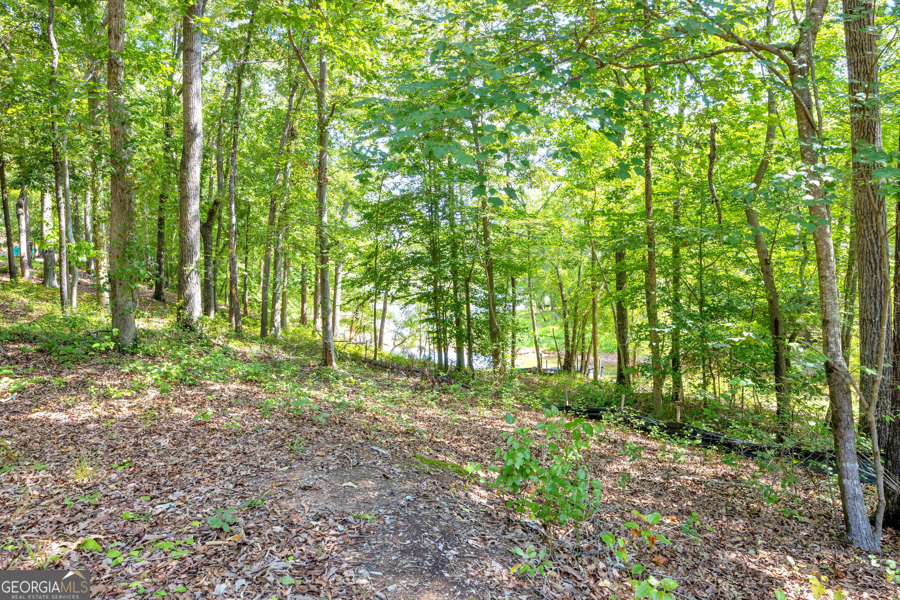 0 Winding Way Hartwell GA 30643