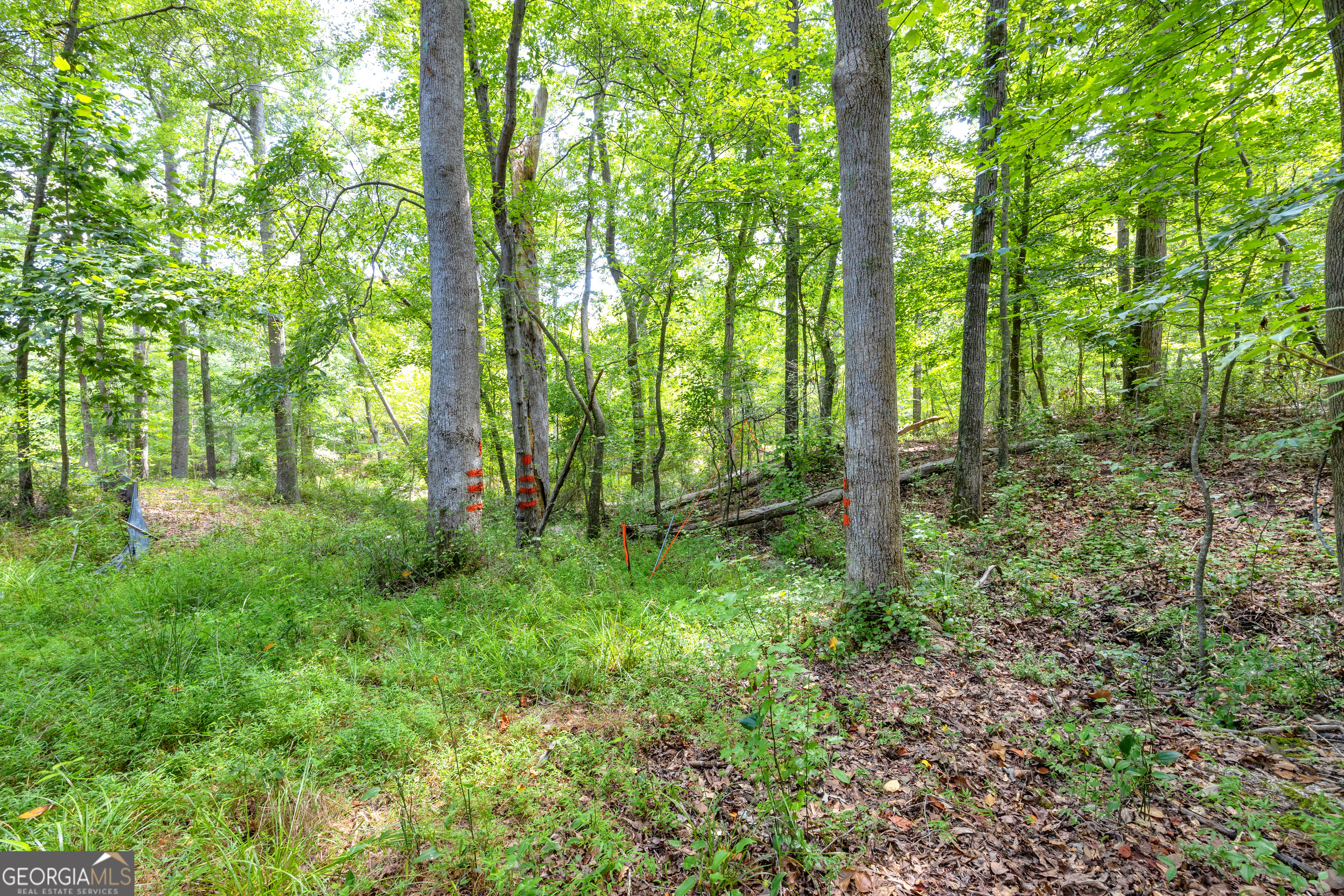 0 Winding Way Hartwell GA 30643