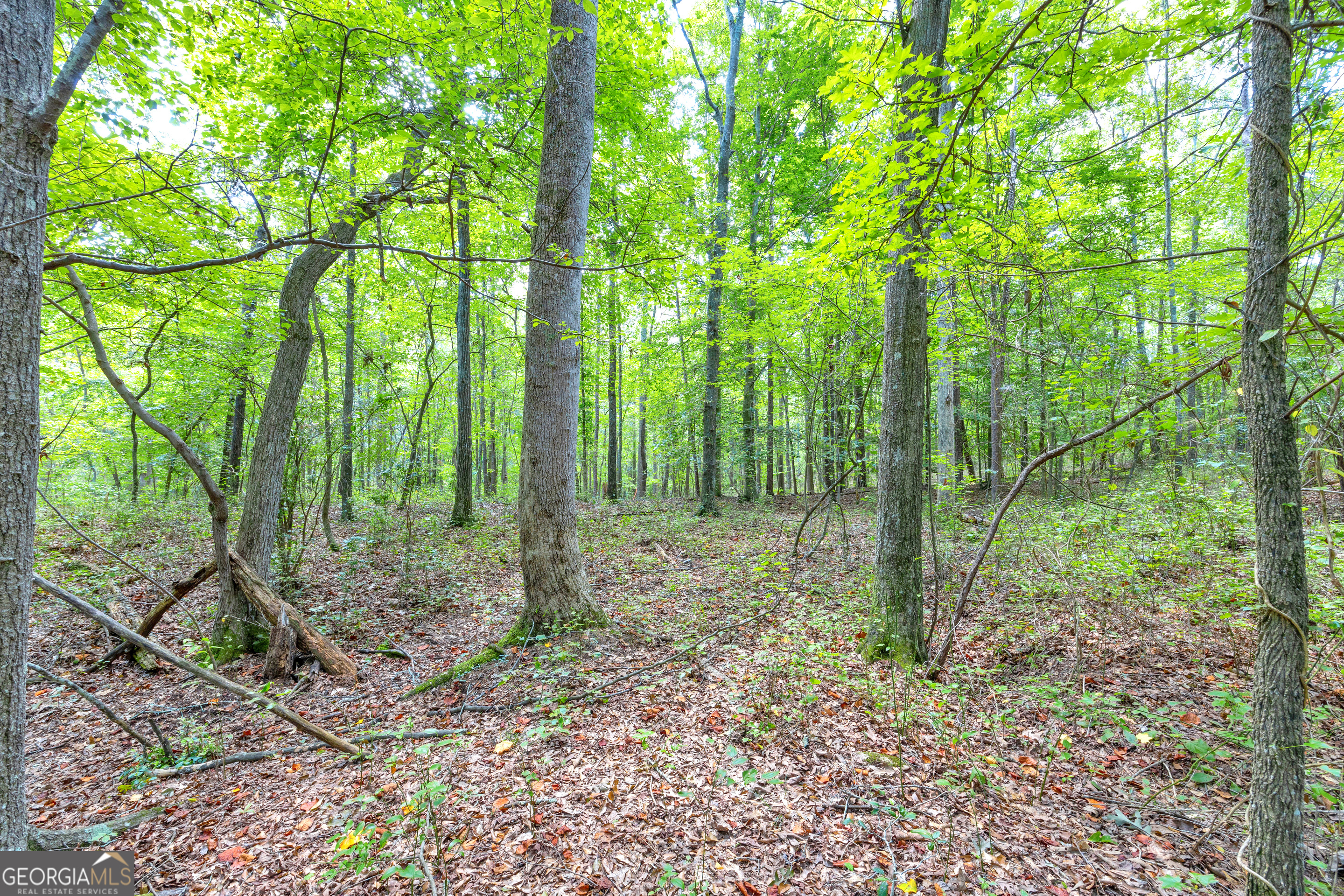 0 Winding Way Hartwell GA 30643