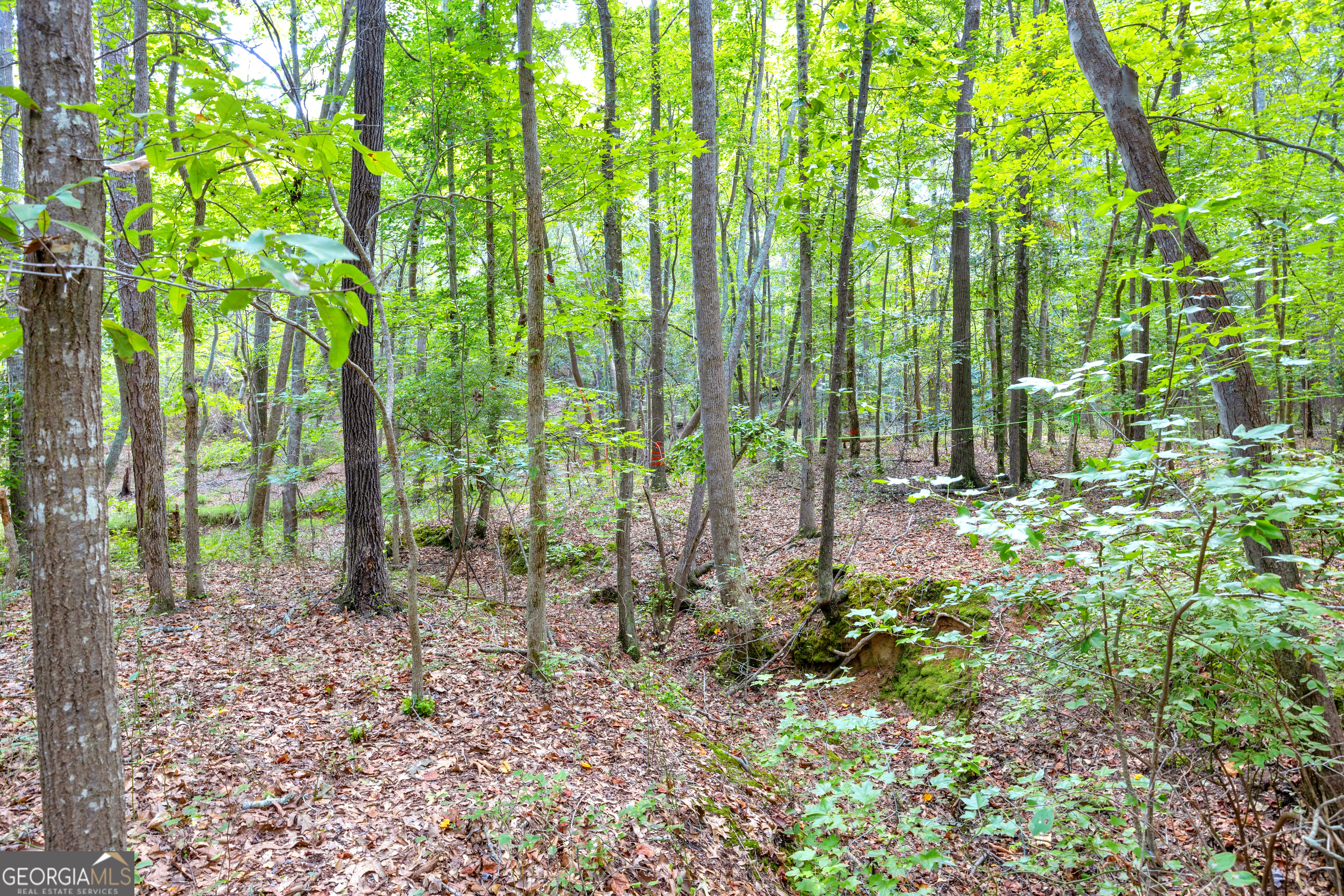 0 Winding Way Hartwell GA 30643