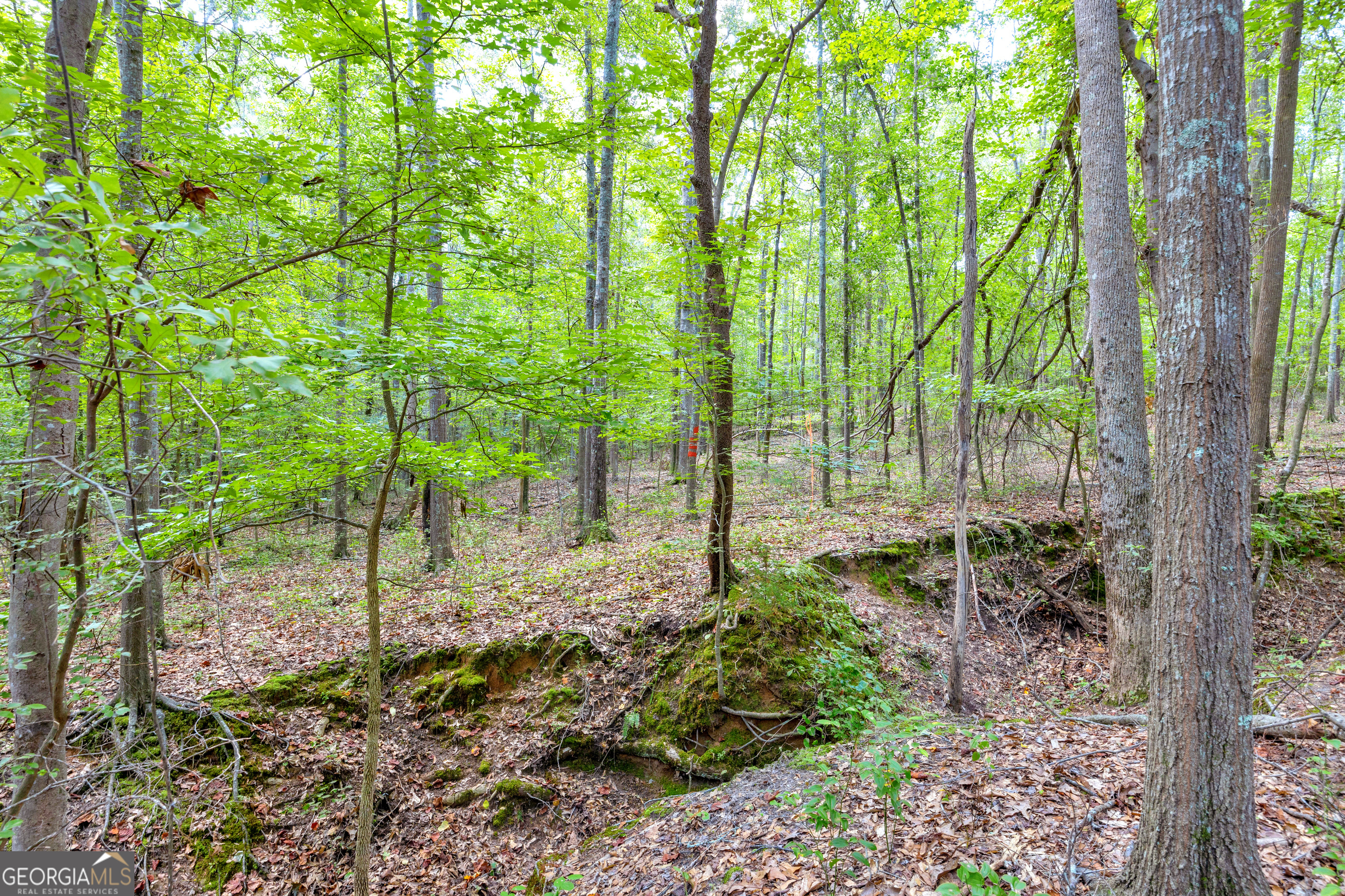 0 Winding Way Hartwell GA 30643