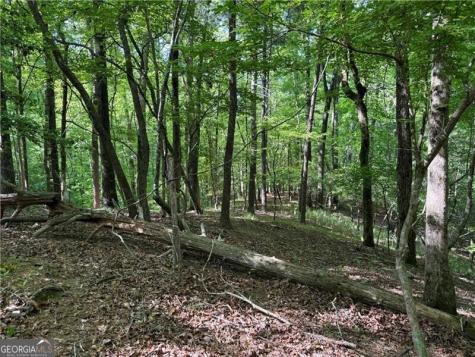 0 High Shoals Drive Dahlonega GA 30533