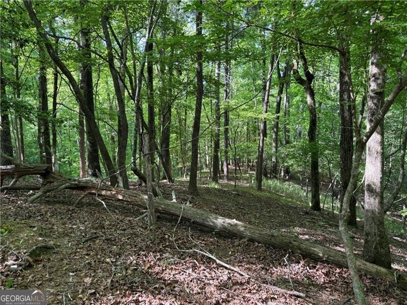 0 High Shoals Drive Dahlonega GA 30533
