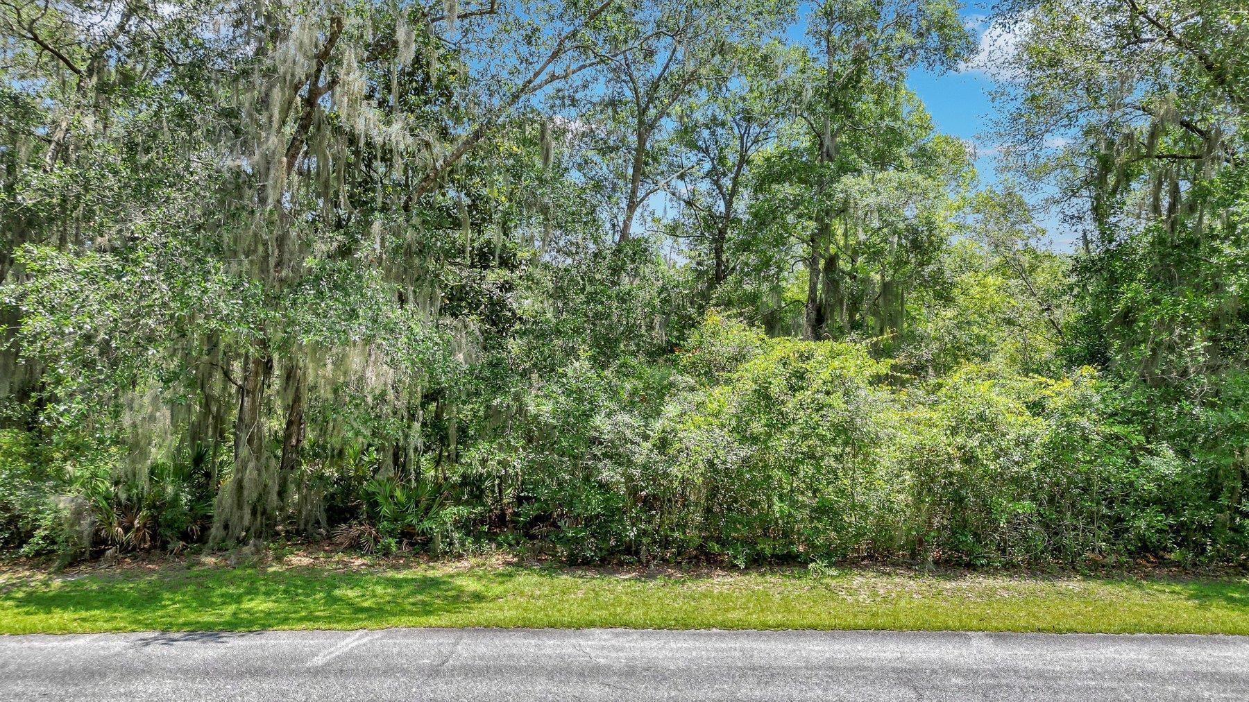 Lot 59 Street Joseph's Point Darien GA 31305