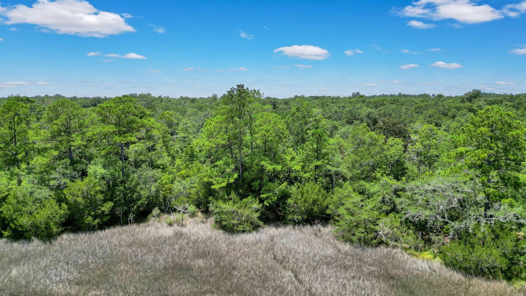 Lot 59 Street Joseph's Point Darien GA 31305