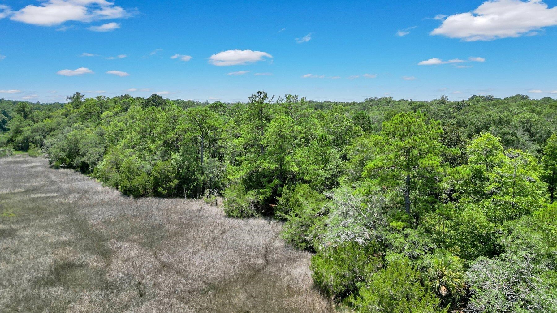 Lot 59 Street Joseph's Point Darien GA 31305
