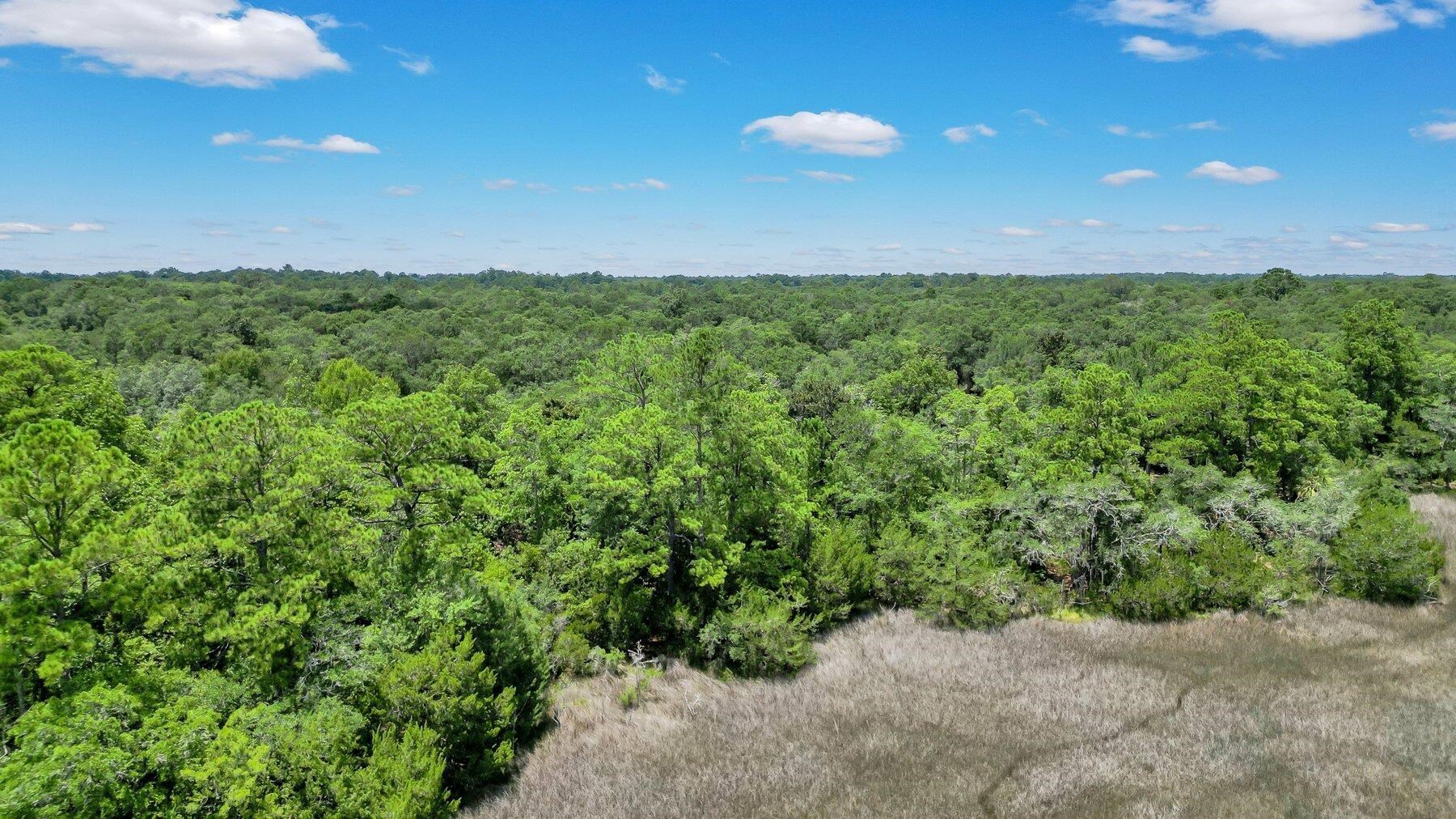 Lot 59 Street Joseph's Point Darien GA 31305