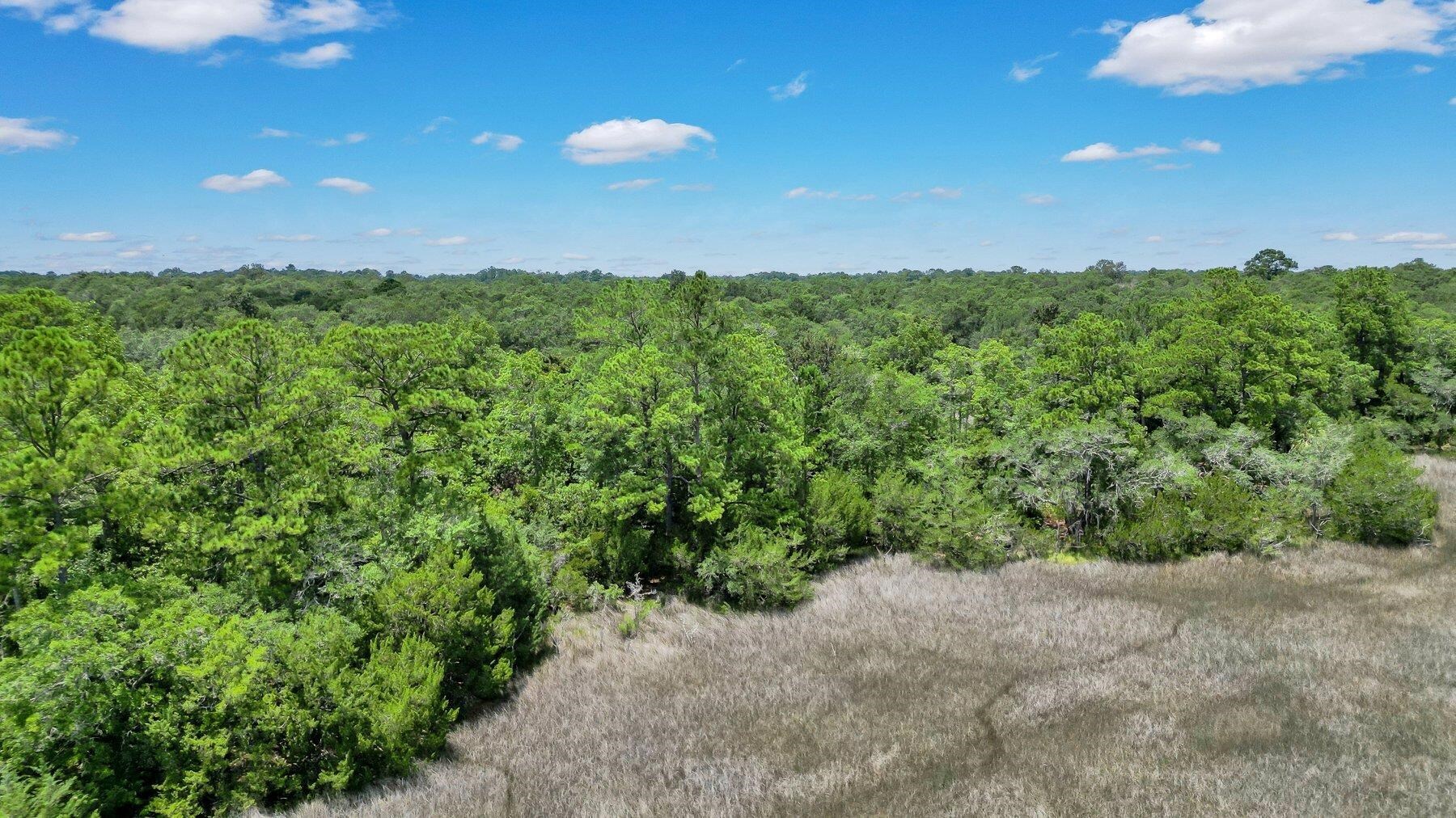 Lot 59 Street Joseph's Point Darien GA 31305