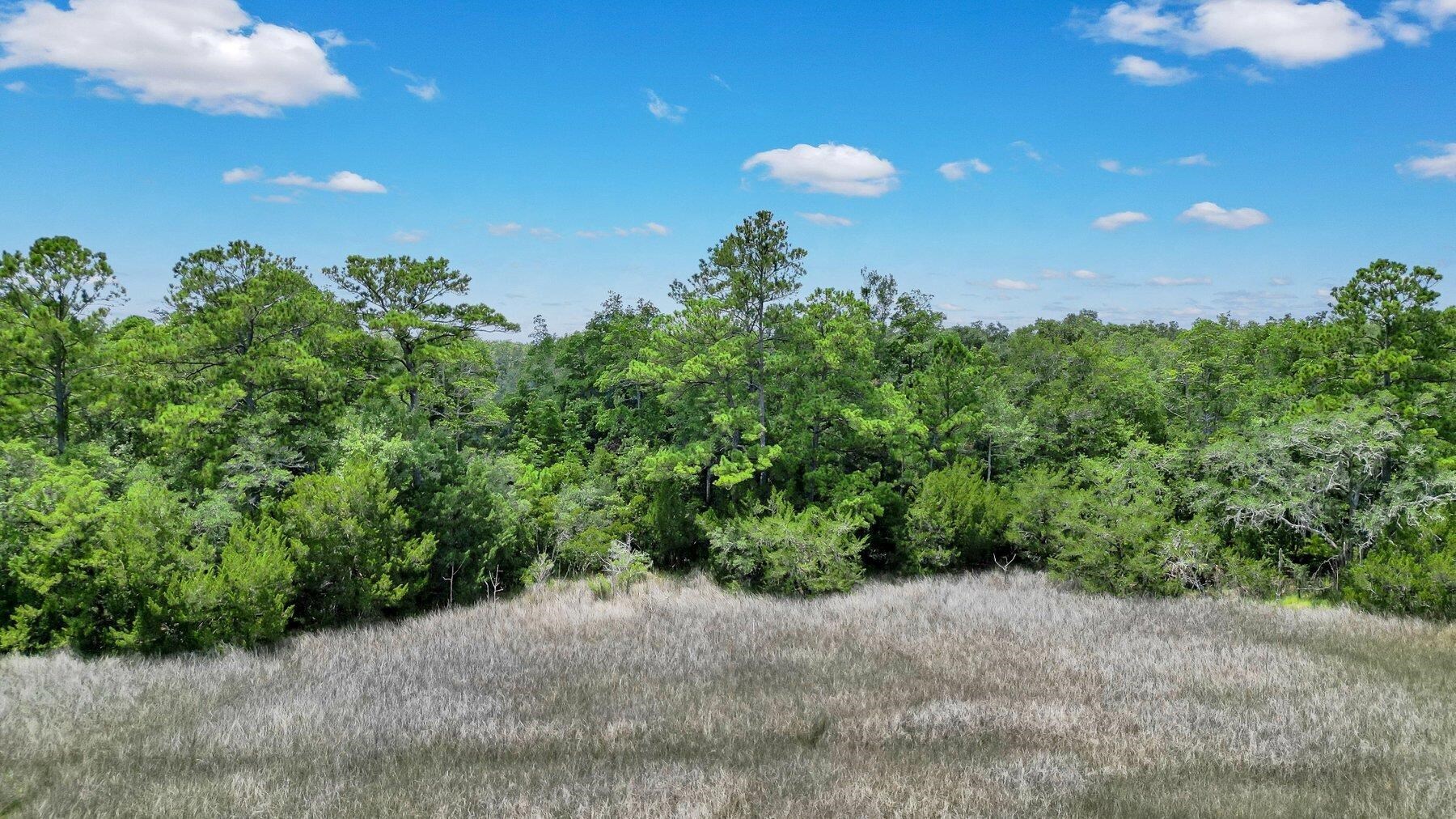 Lot 59 Street Joseph's Point Darien GA 31305