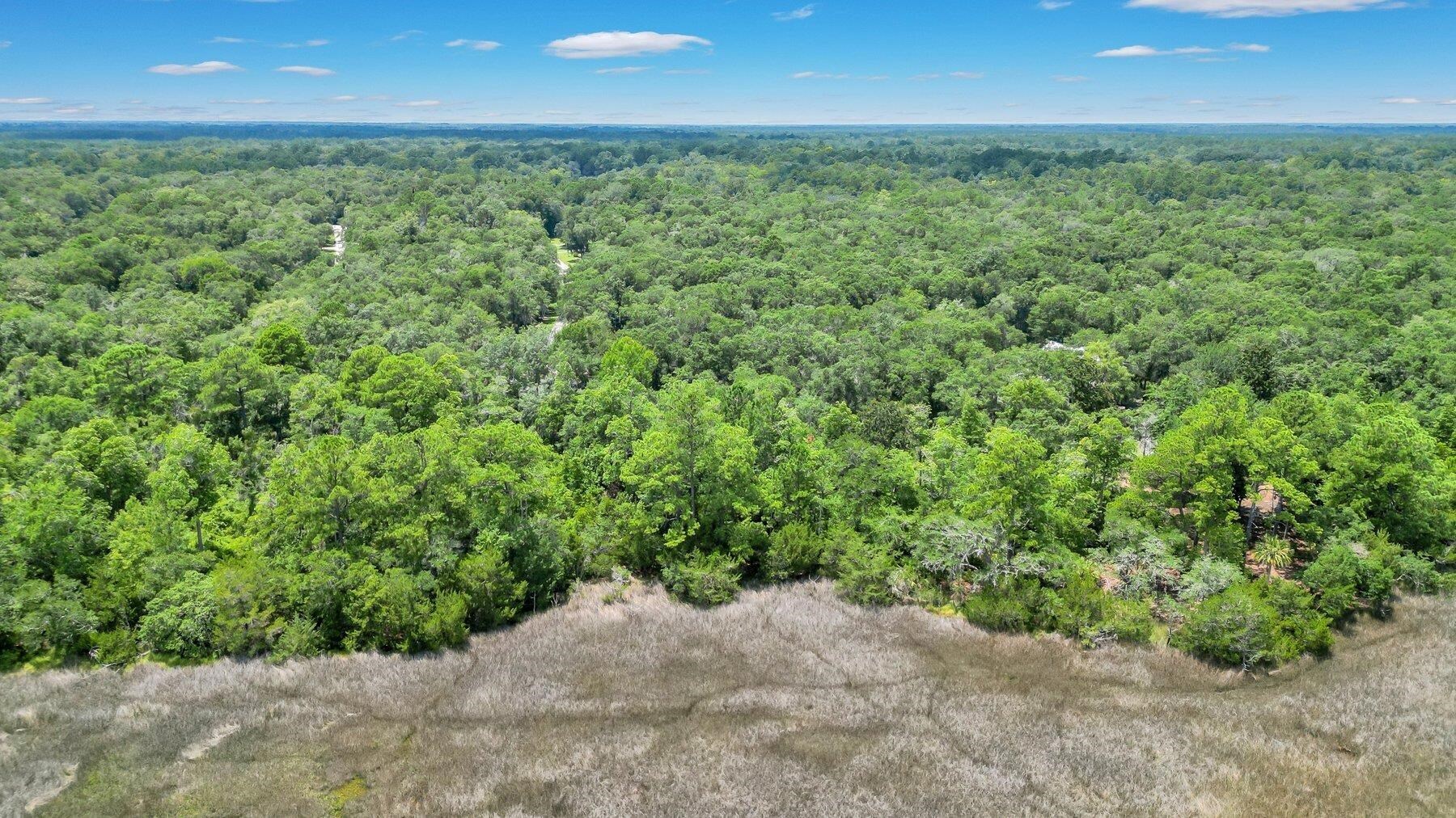 Lot 59 Street Joseph's Point Darien GA 31305
