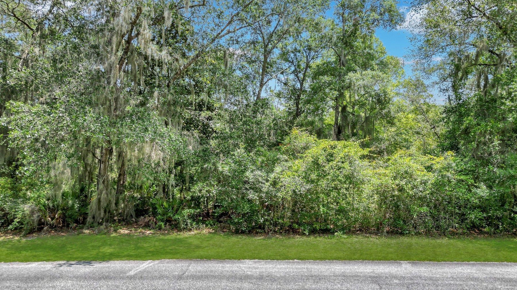 Lot 59 Street Joseph's Point Darien GA 31305