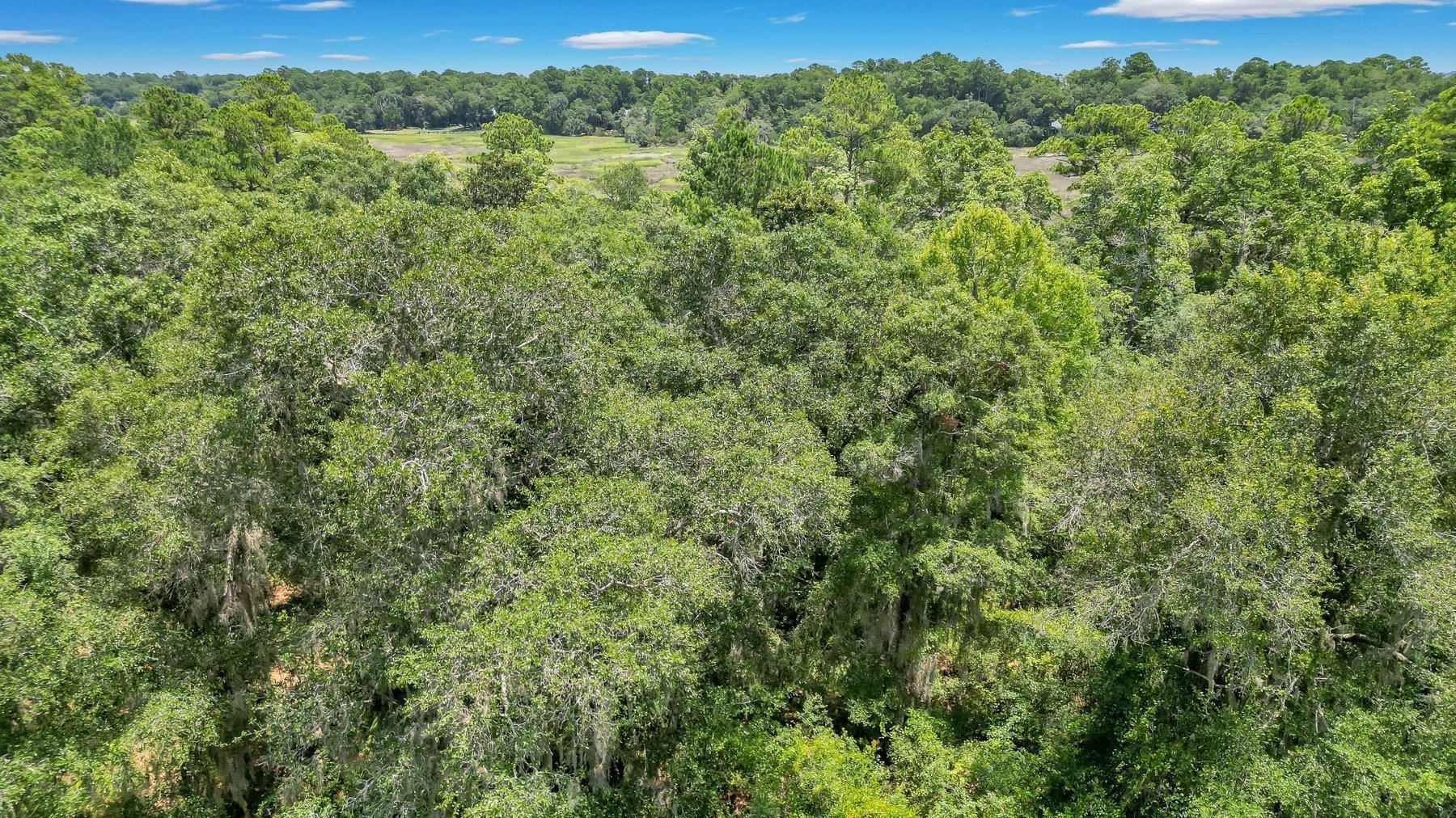 Lot 59 Street Joseph's Point Darien GA 31305