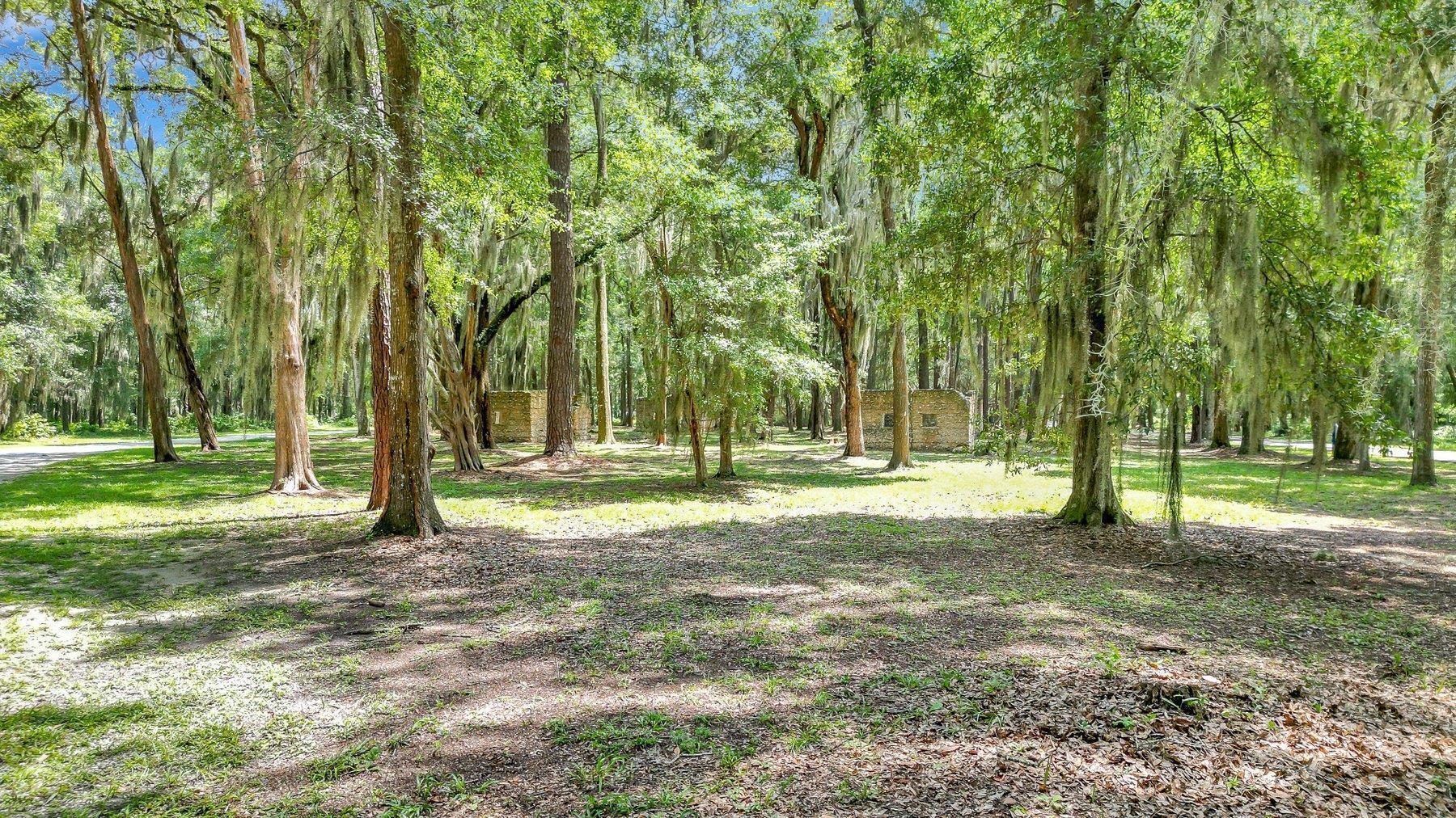 Lot 59 Street Joseph's Point Darien GA 31305
