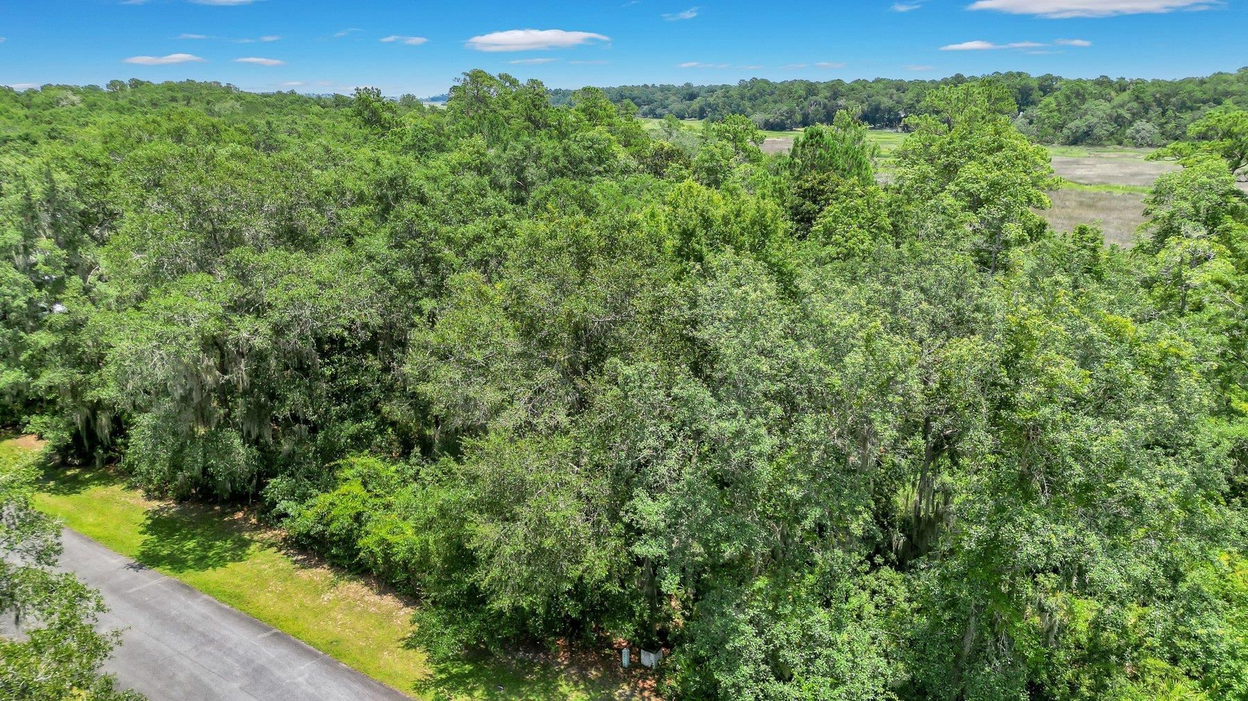 Lot 59 Street Joseph's Point Darien GA 31305