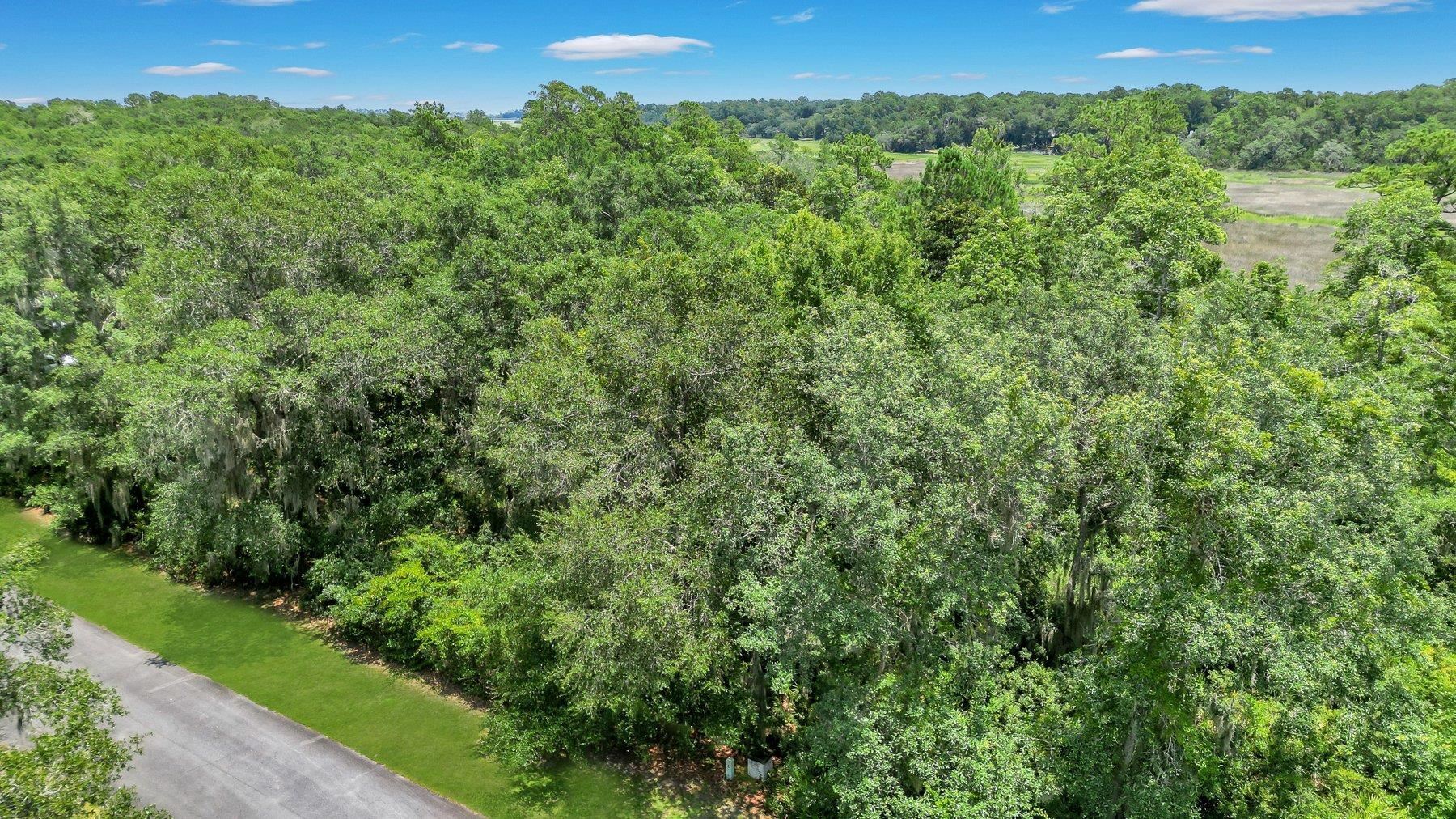 Lot 59 Street Joseph's Point Darien GA 31305