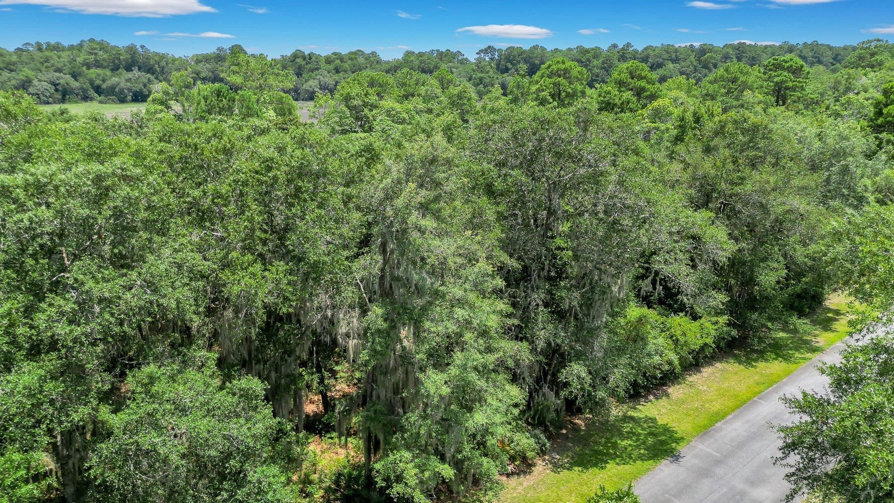 Lot 59 Street Joseph's Point Darien GA 31305
