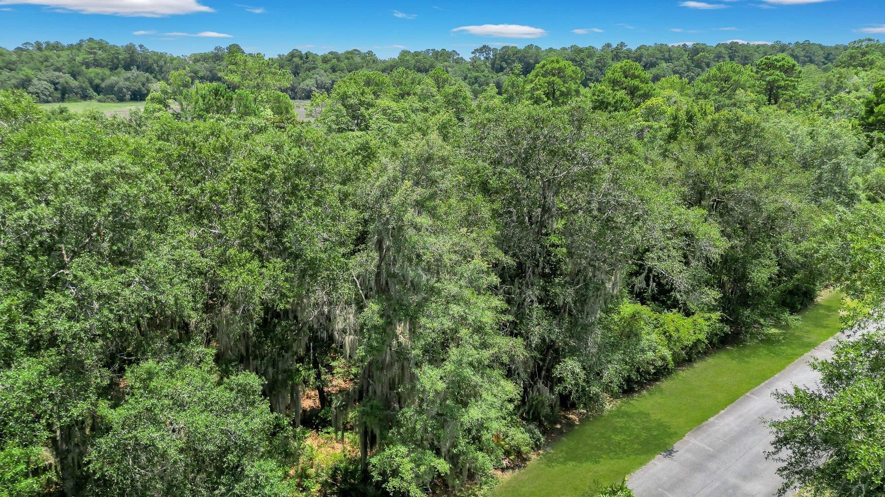 Lot 59 Street Joseph's Point Darien GA 31305