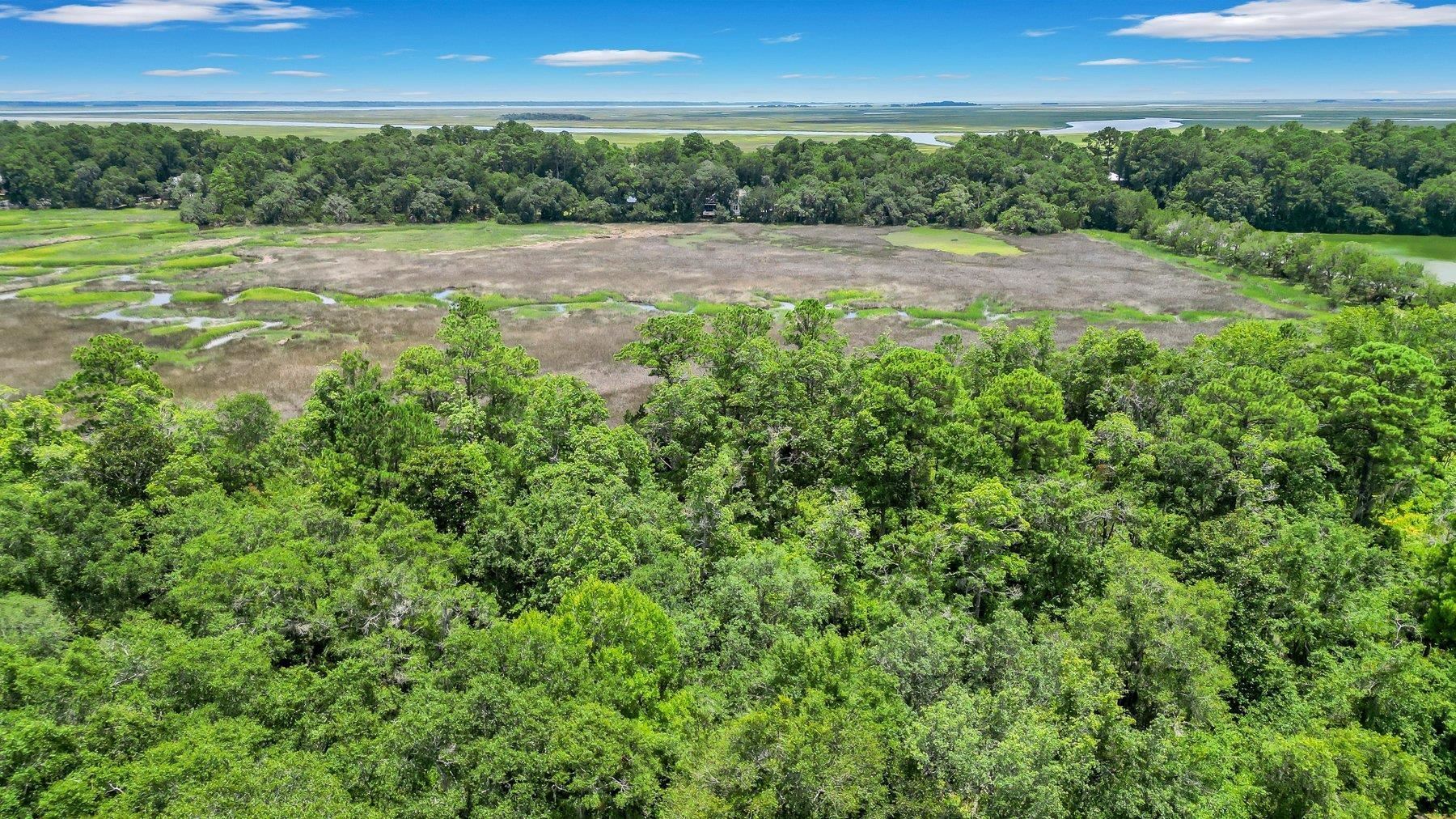 Lot 59 Street Joseph's Point Darien GA 31305
