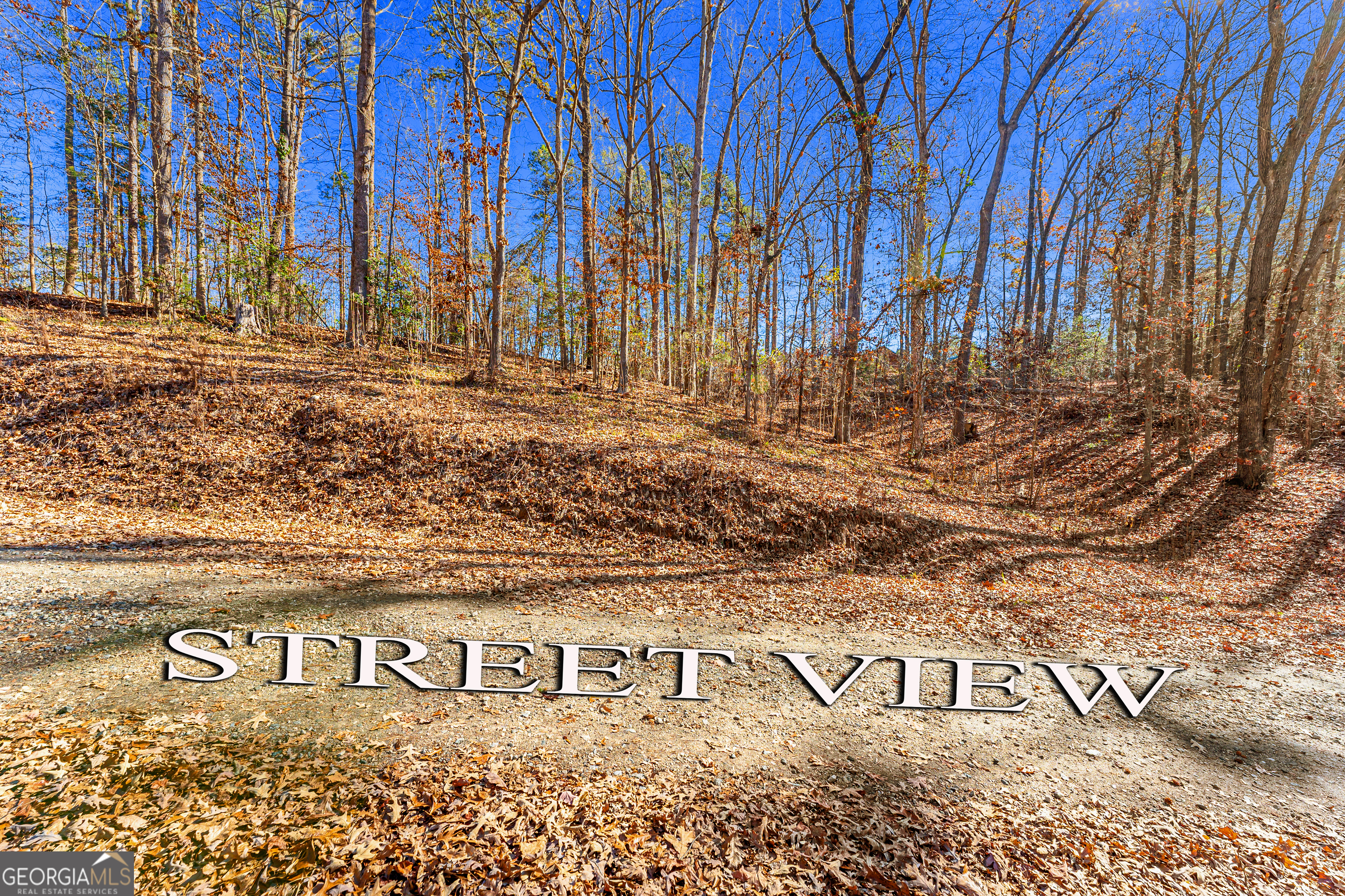 0 Mountain View Road Lavonia GA 30553