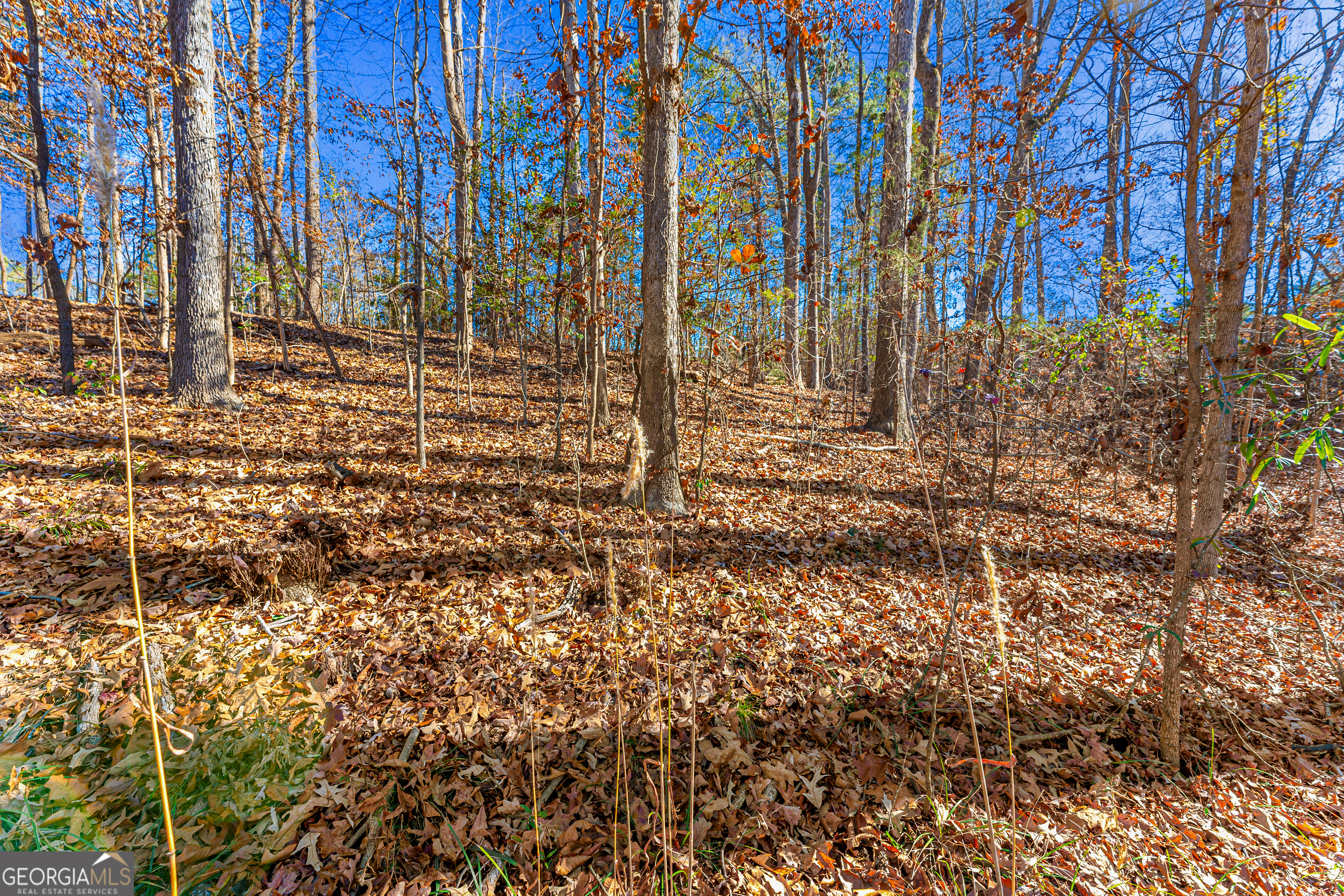 0 Mountain View Road Lavonia GA 30553