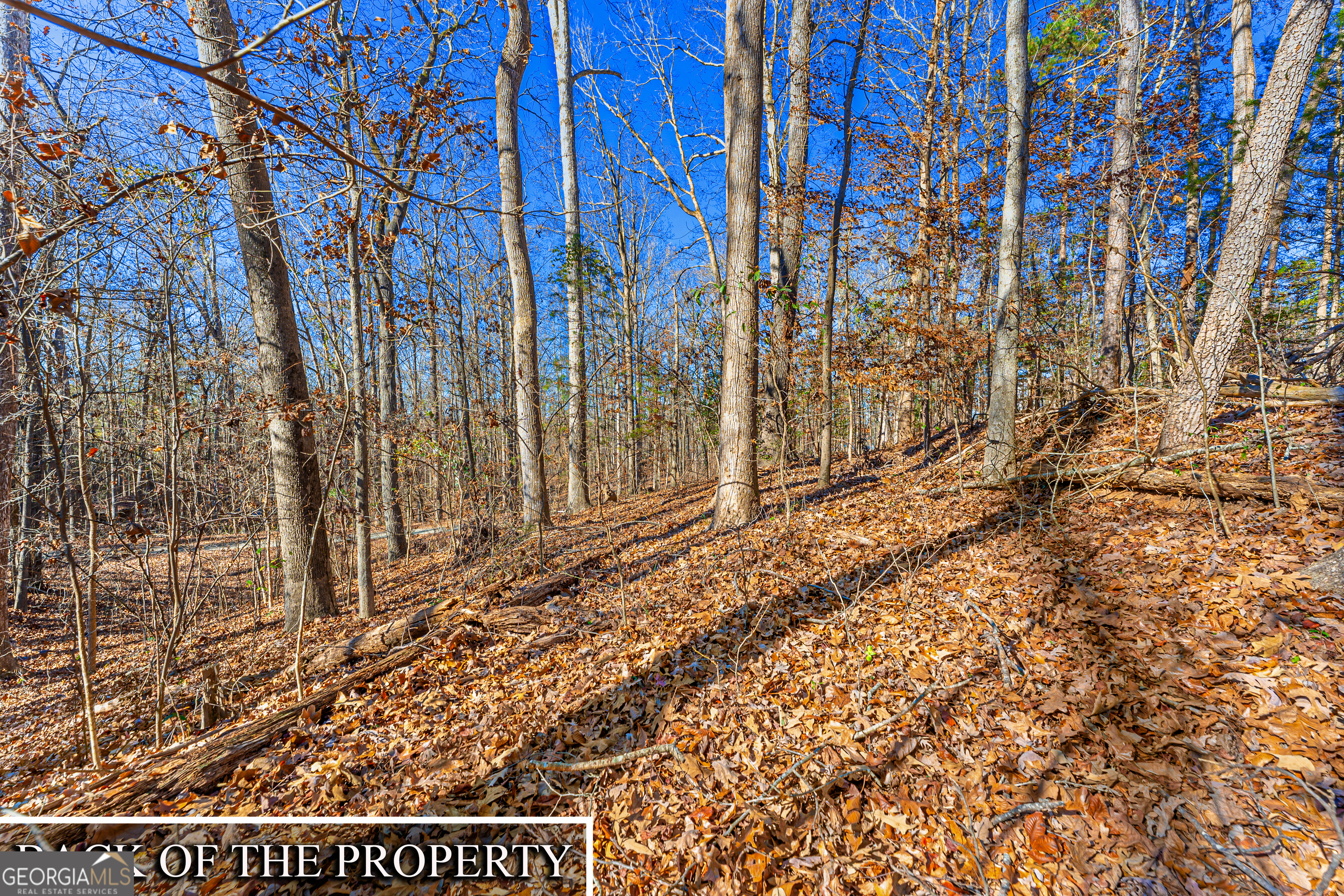 0 Mountain View Road Lavonia GA 30553