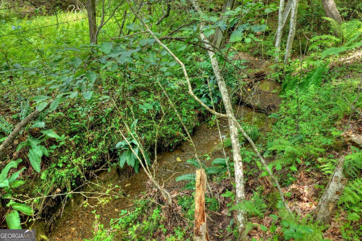 0 Scots Glen Road Mineral Bluff GA 30559