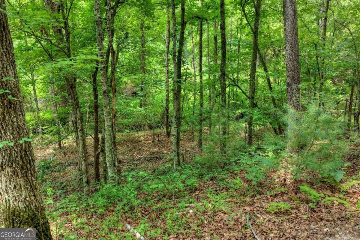 0 Scots Glen Road Mineral Bluff GA 30559