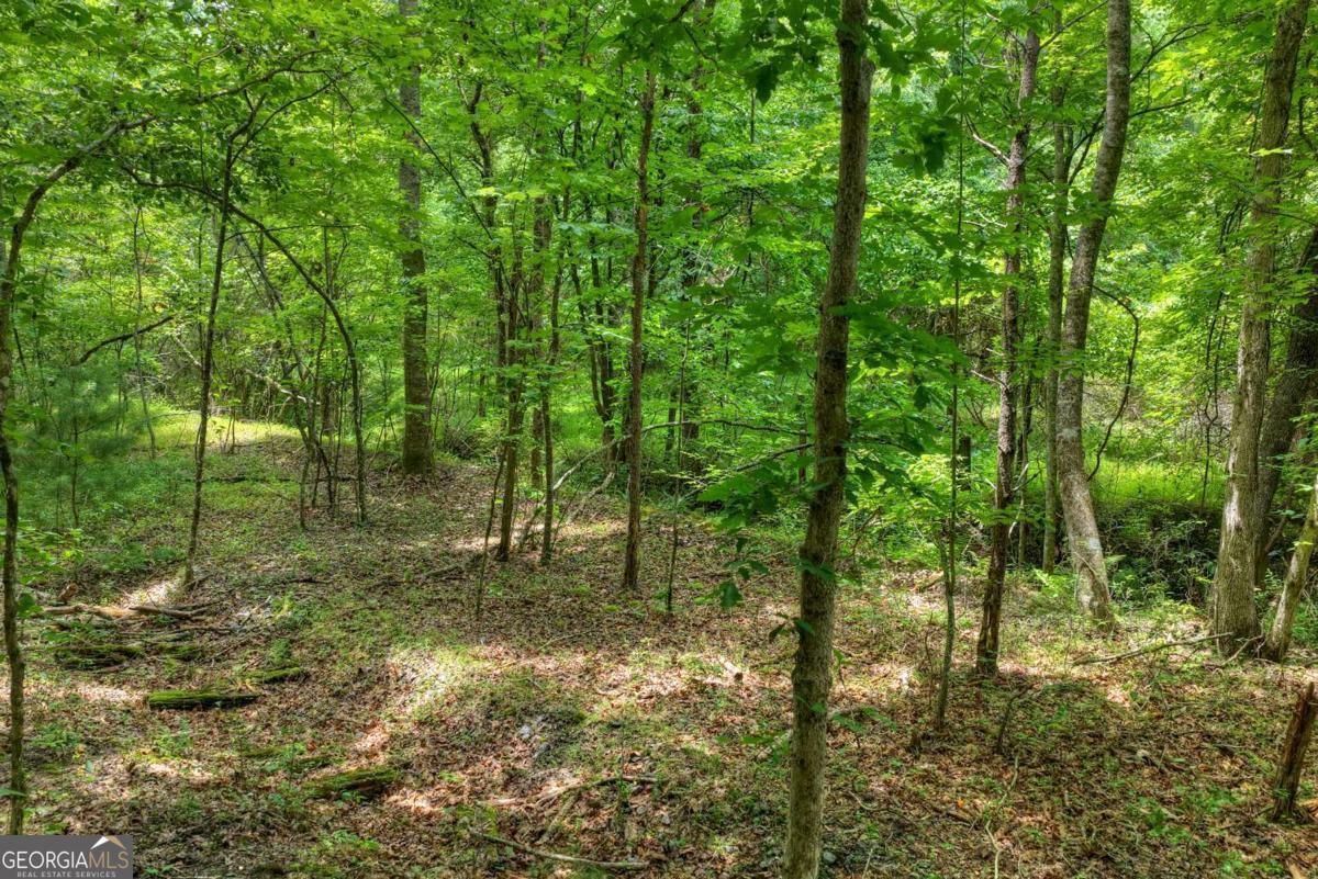 0 Scots Glen Road Mineral Bluff GA 30559
