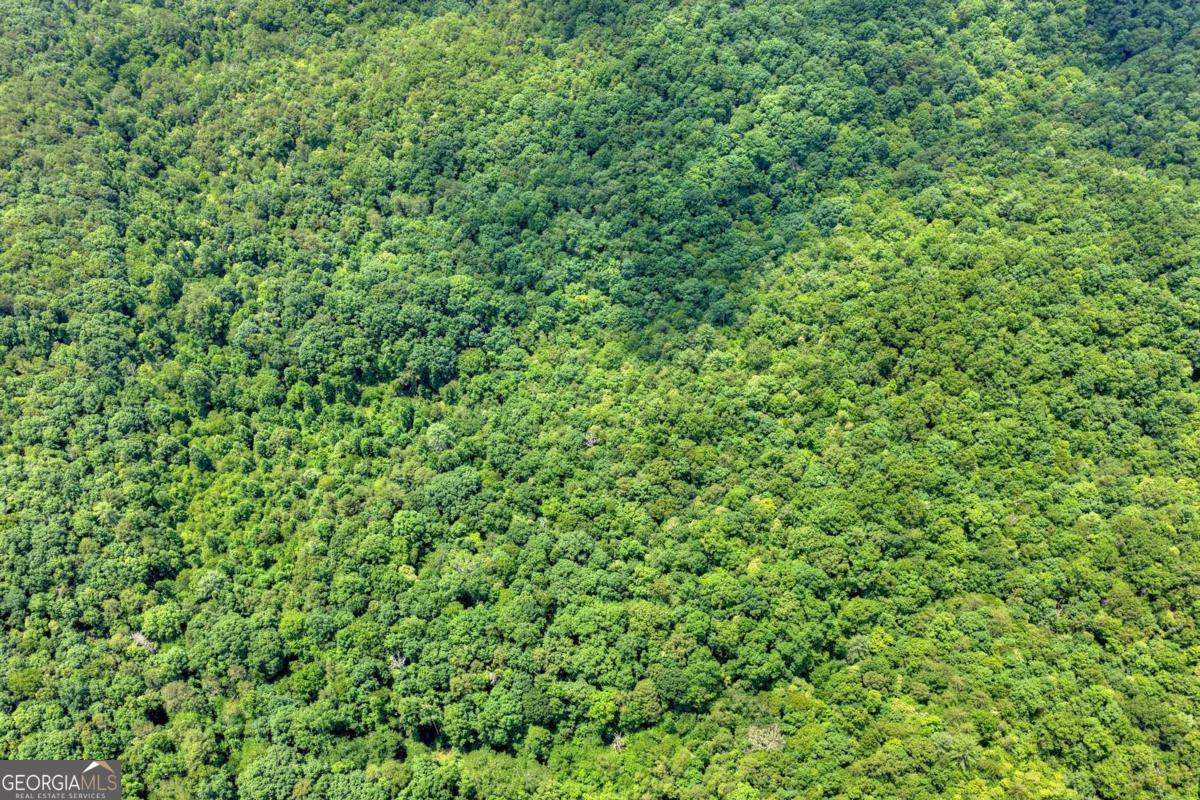 0 Scots Glen Road Mineral Bluff GA 30559