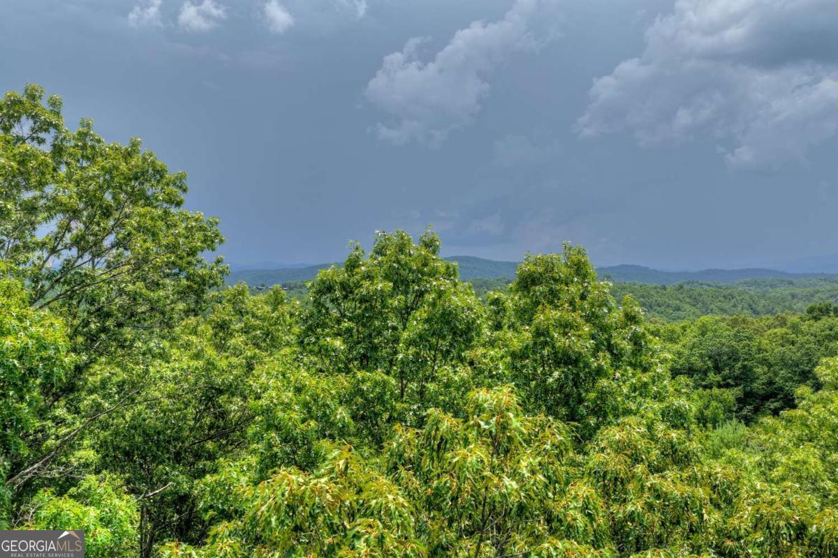 0 Scots Glen Road Mineral Bluff GA 30559