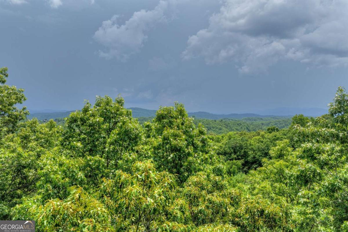 0 Scots Glen Road Mineral Bluff GA 30559
