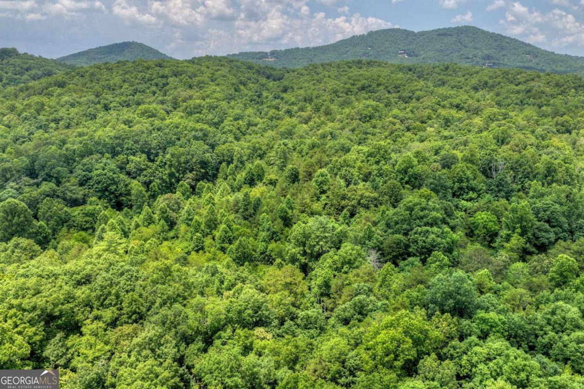 0 Scots Glen Road Mineral Bluff GA 30559